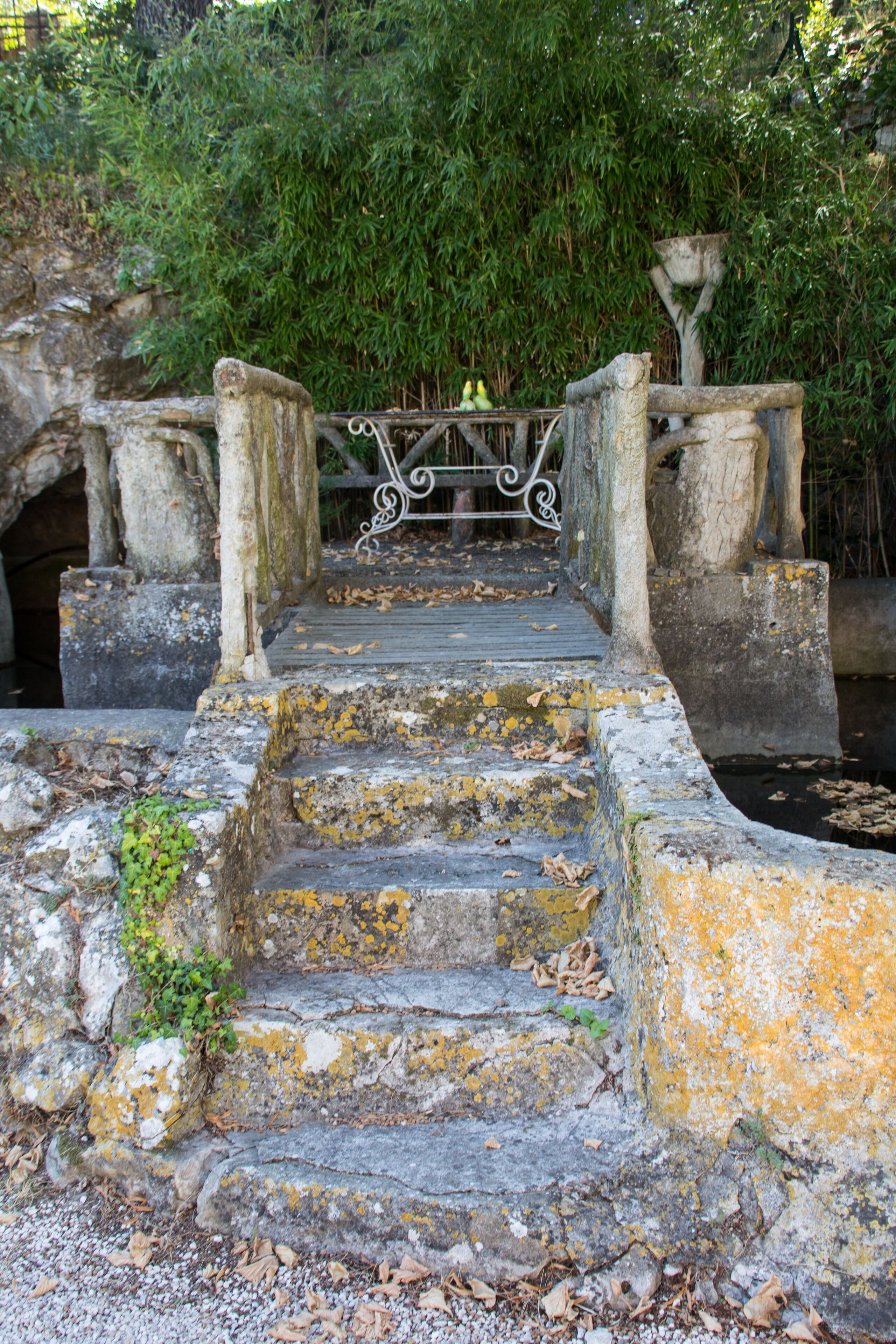 Aux Oiseaux De Provence