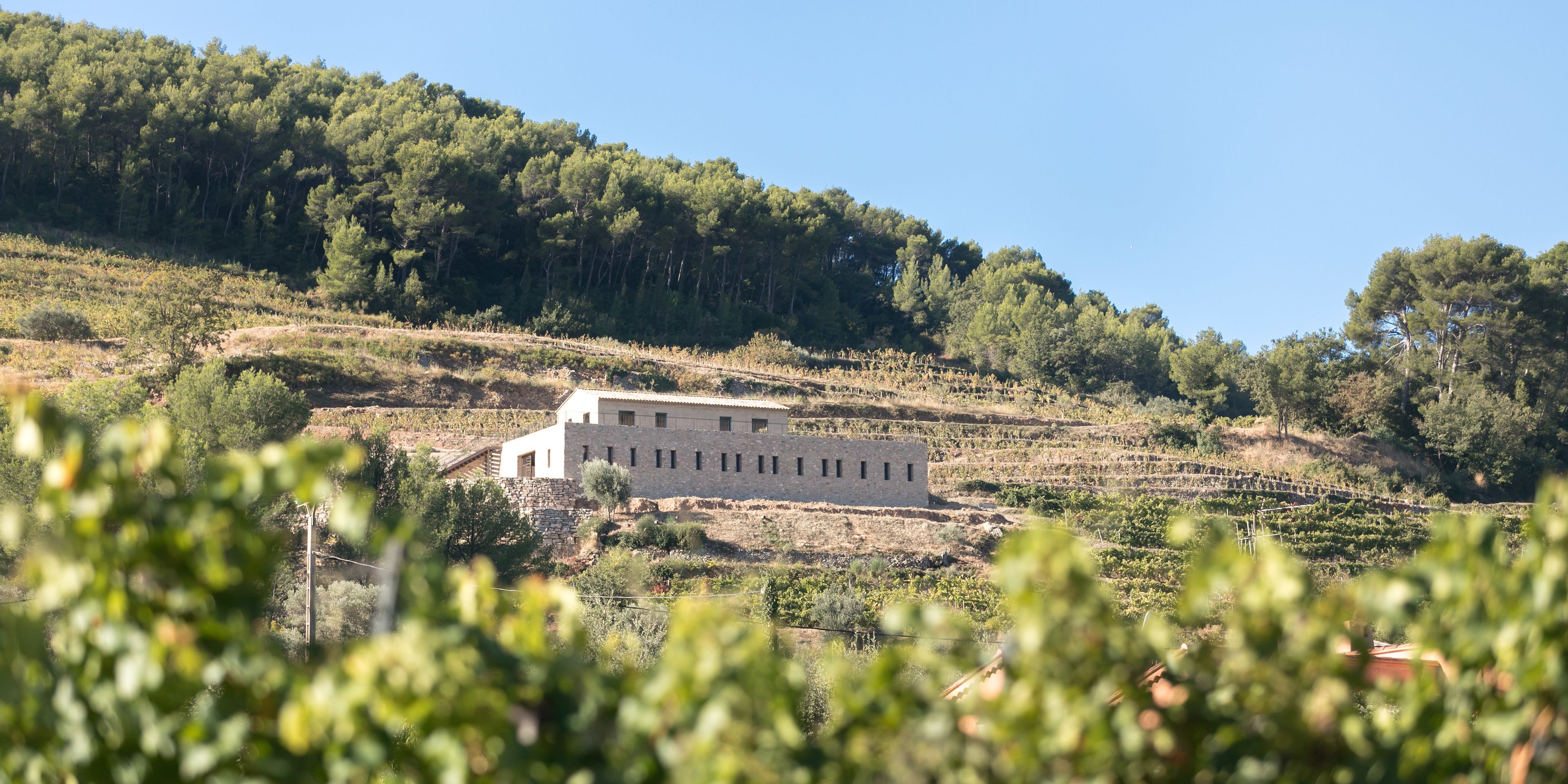 Domaine La Font des Pères