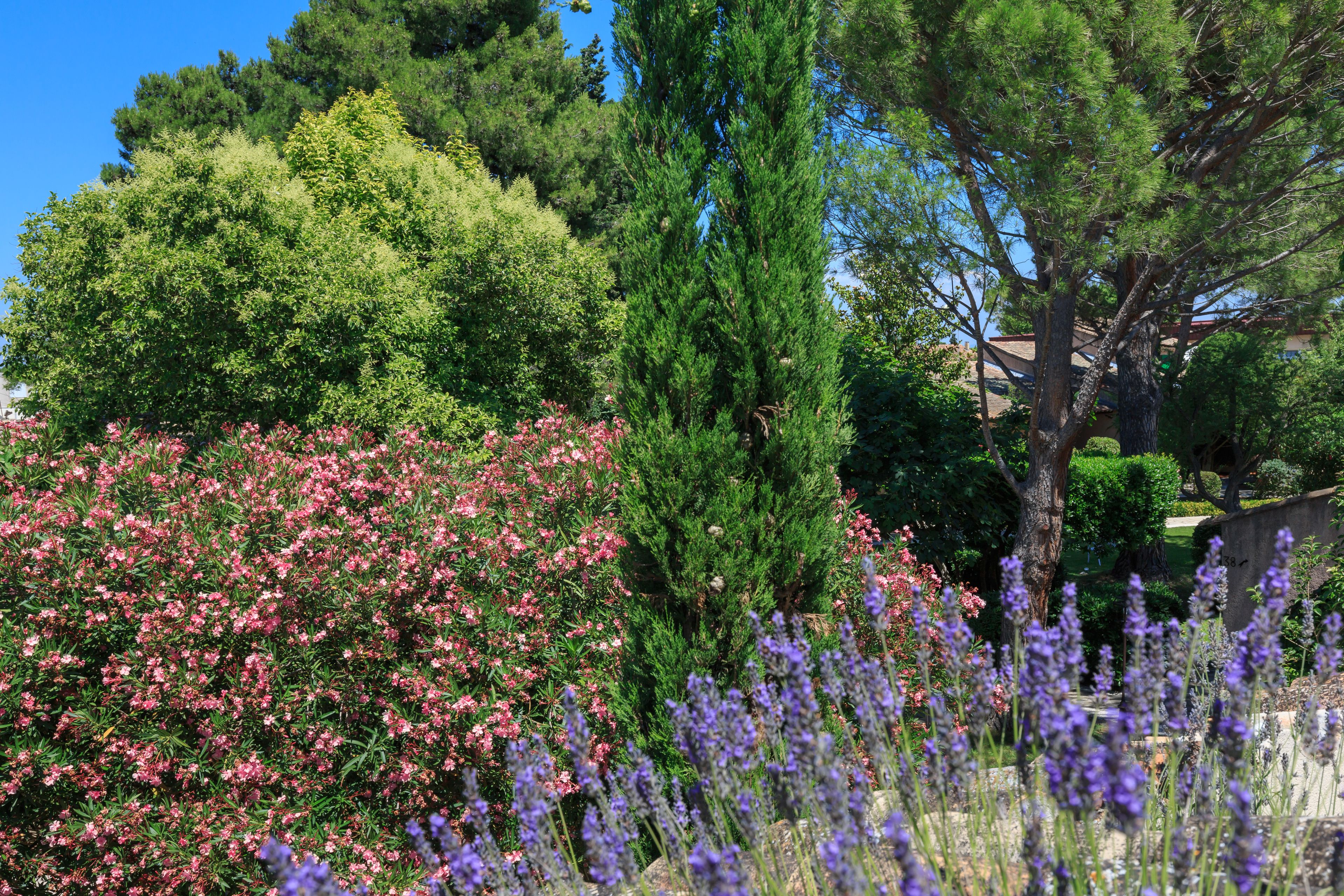 Auberge de Cassagne & Spa