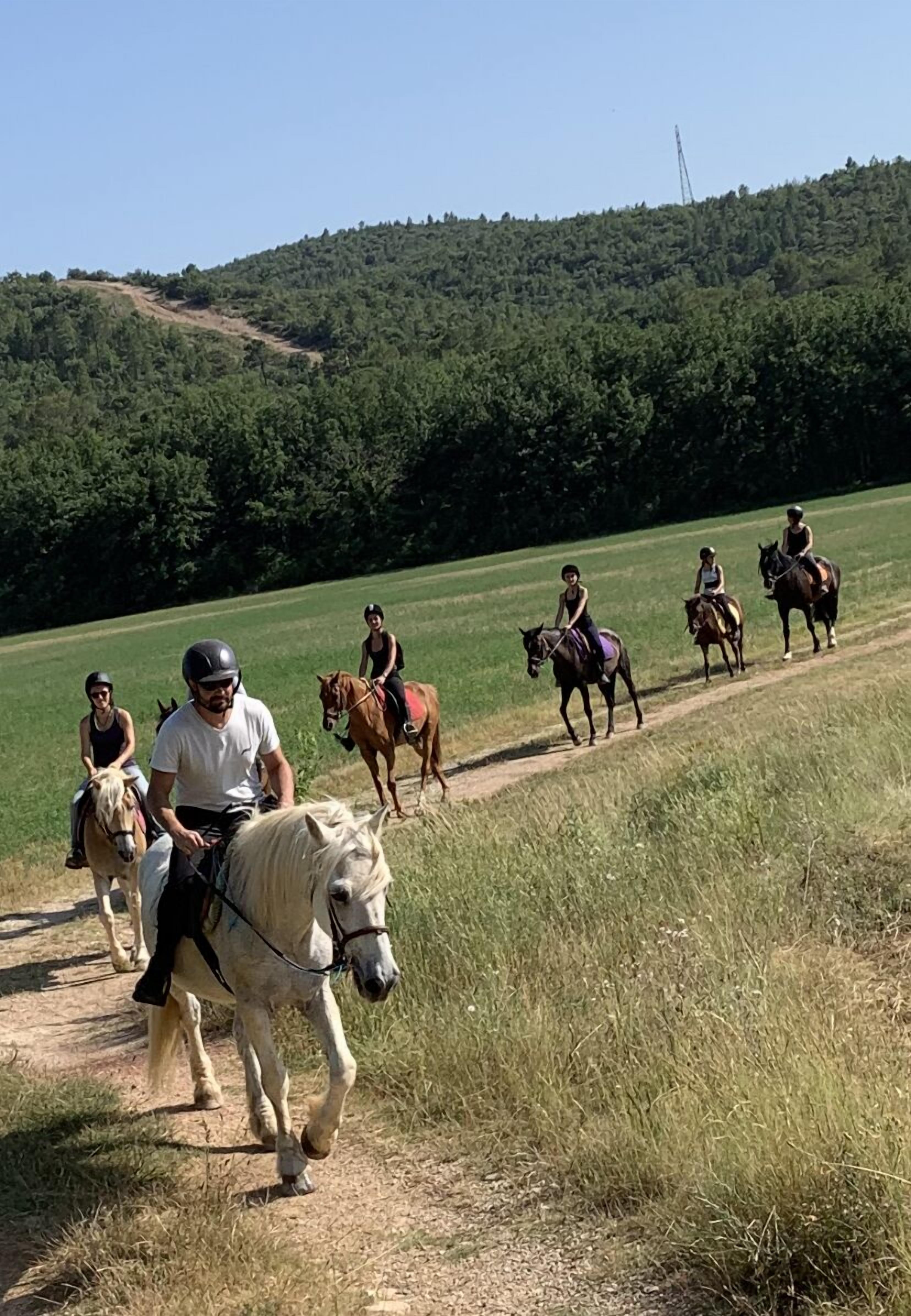Les Ecuries Du Mas Di Gau