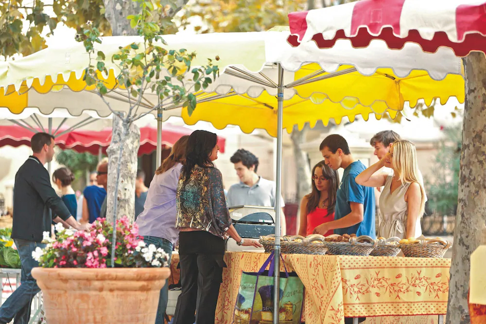 Maeva Particuliers Résidence Pont Royal En Provence