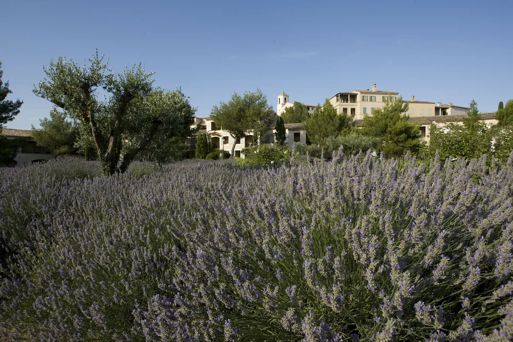 Maeva Particuliers Résidence Pont Royal En Provence