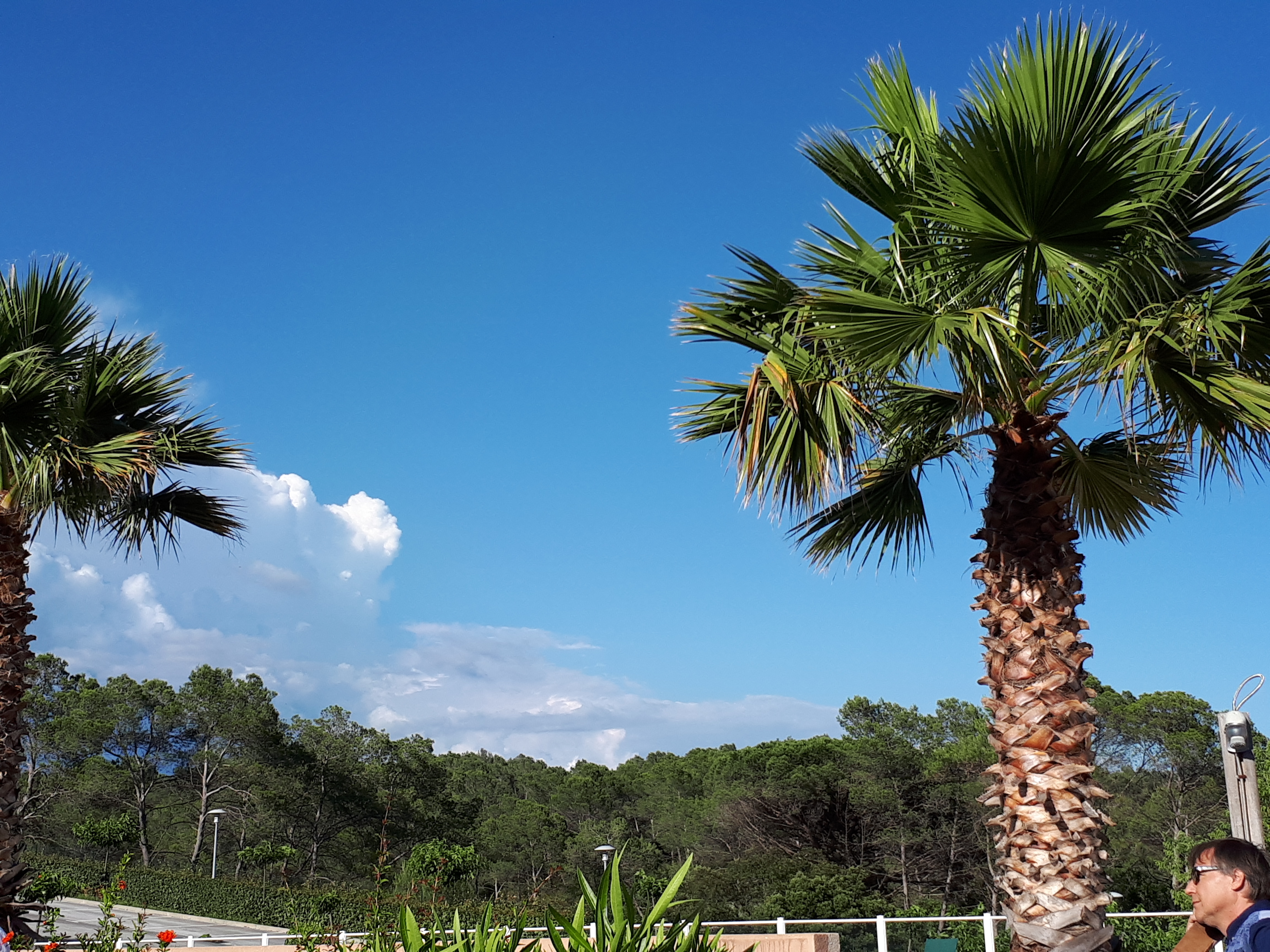 Résidence Les Parasols d'Argens