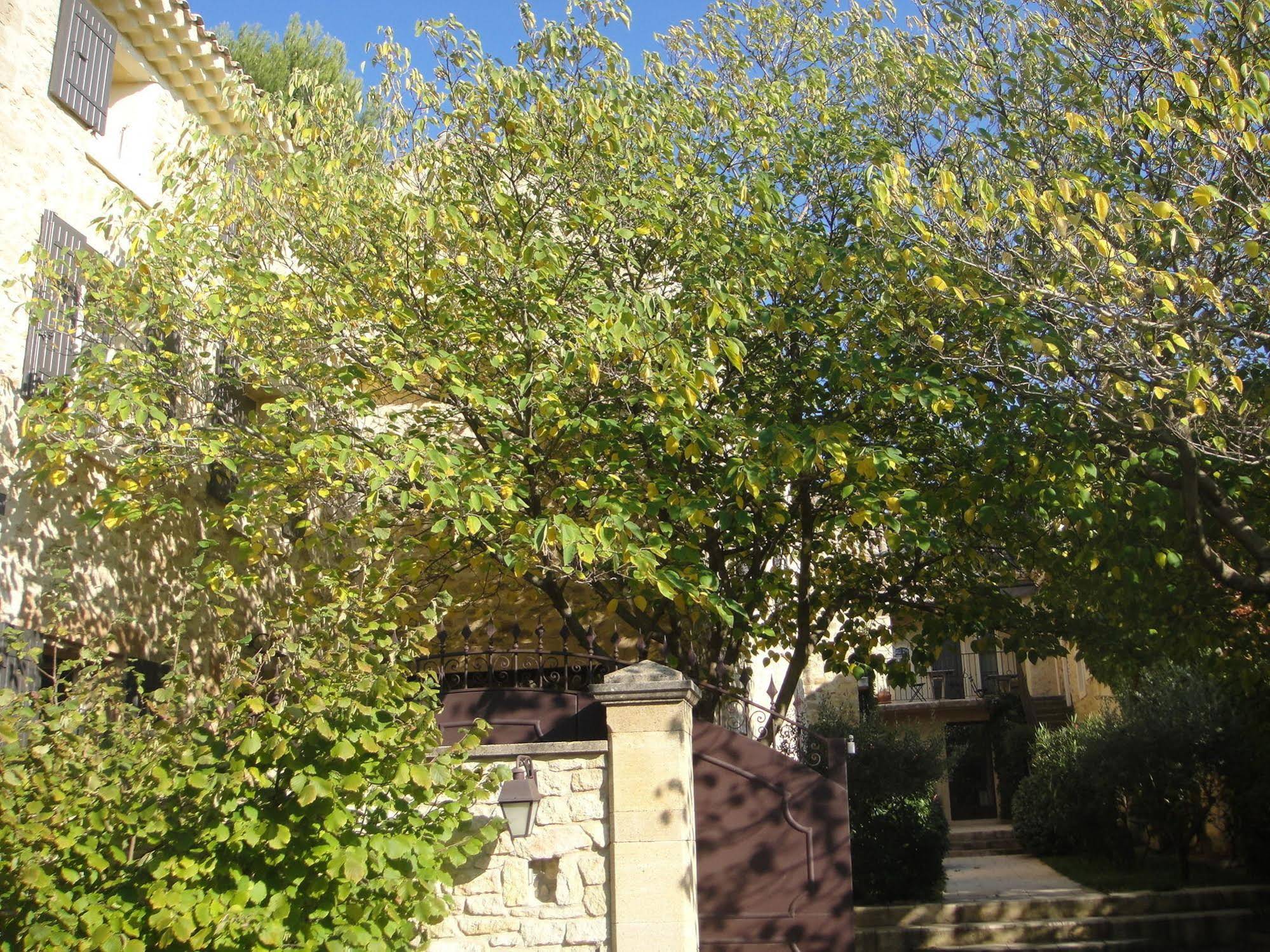 Le Bercail