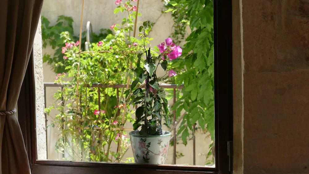 La Maison D'Isidore