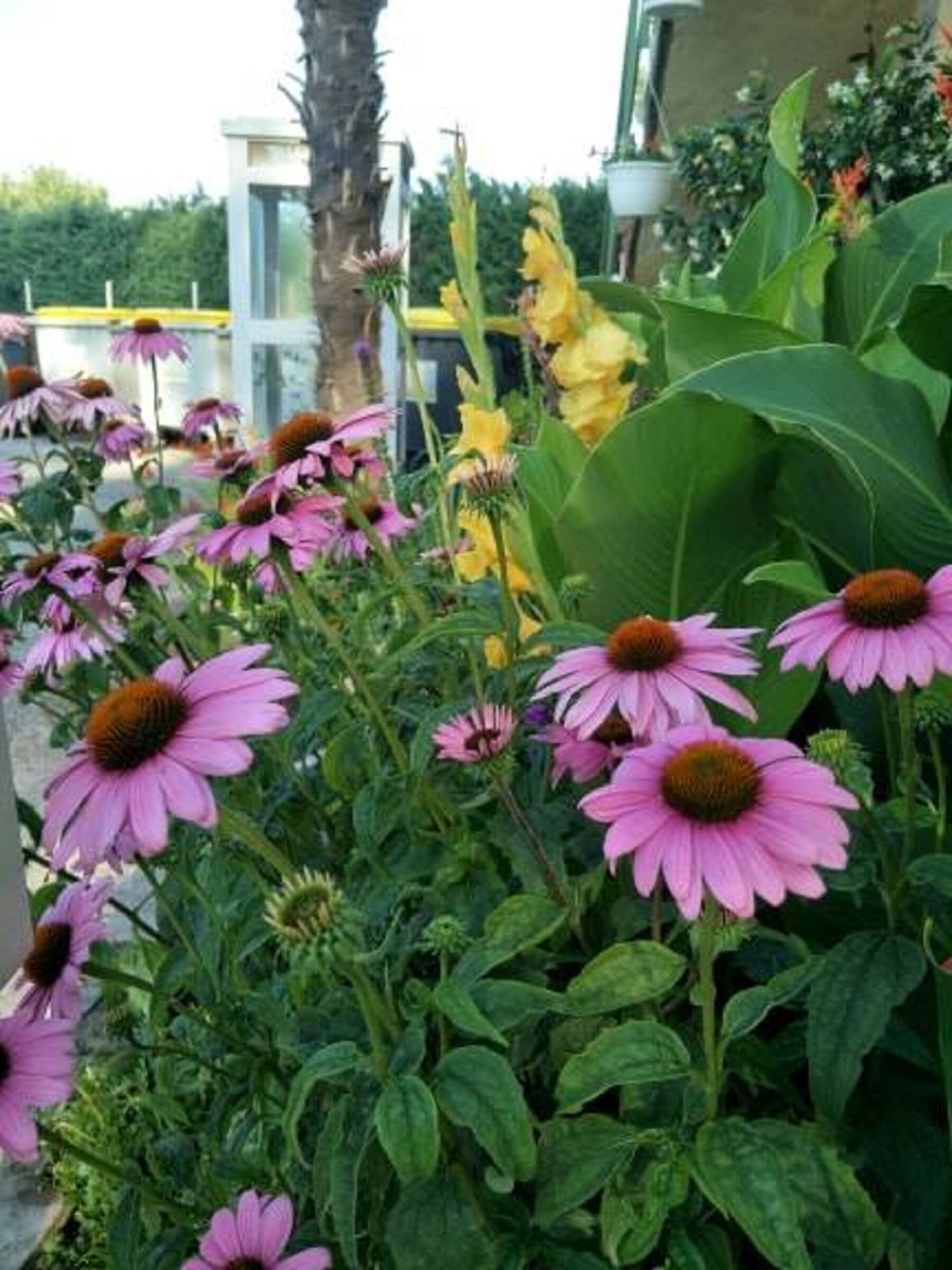 Camping la Rouviere les Pins