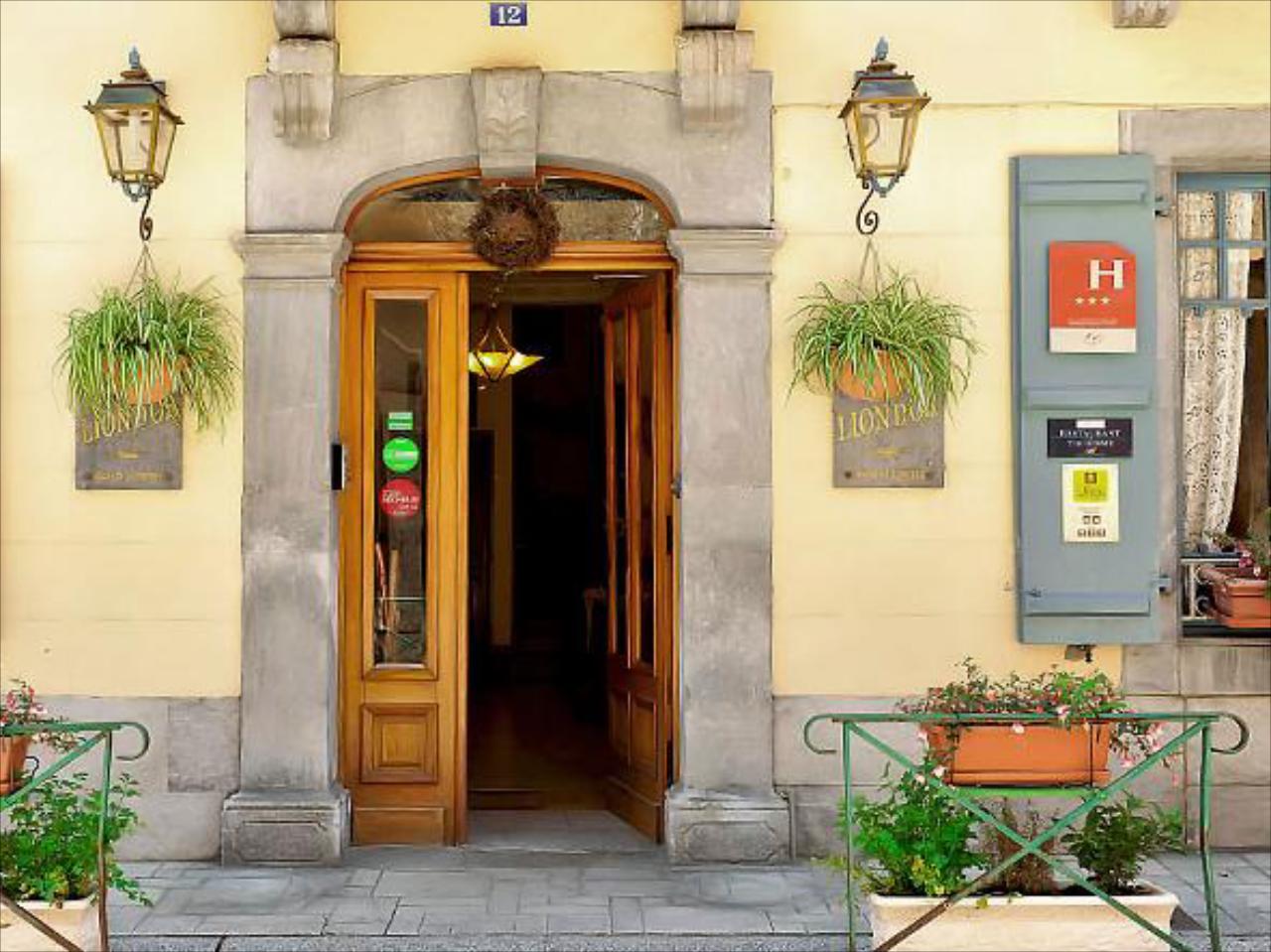 Hôtel Du Lion D'or