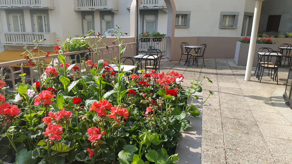 Hotel Helianthe