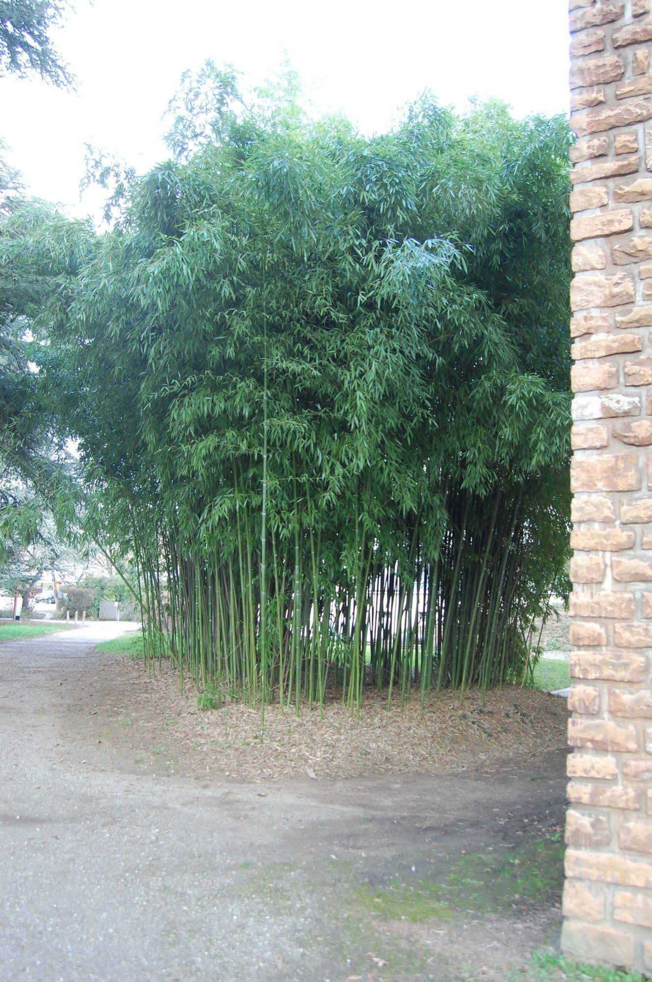Valpré
