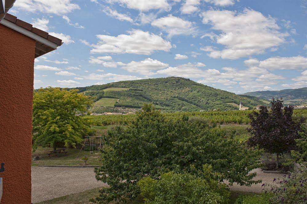 Citotel des Vignes
