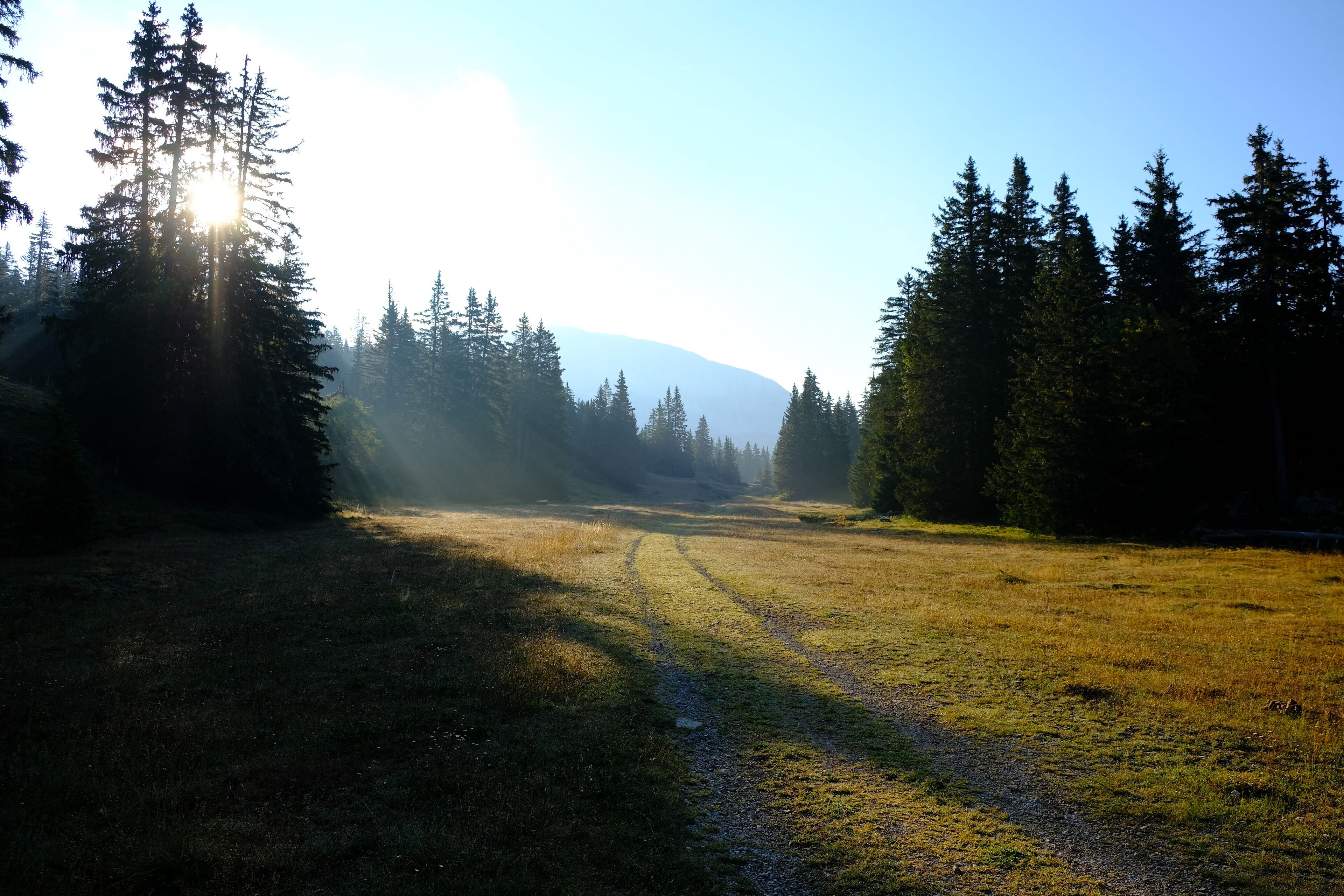 Chalet Des Bruyeres