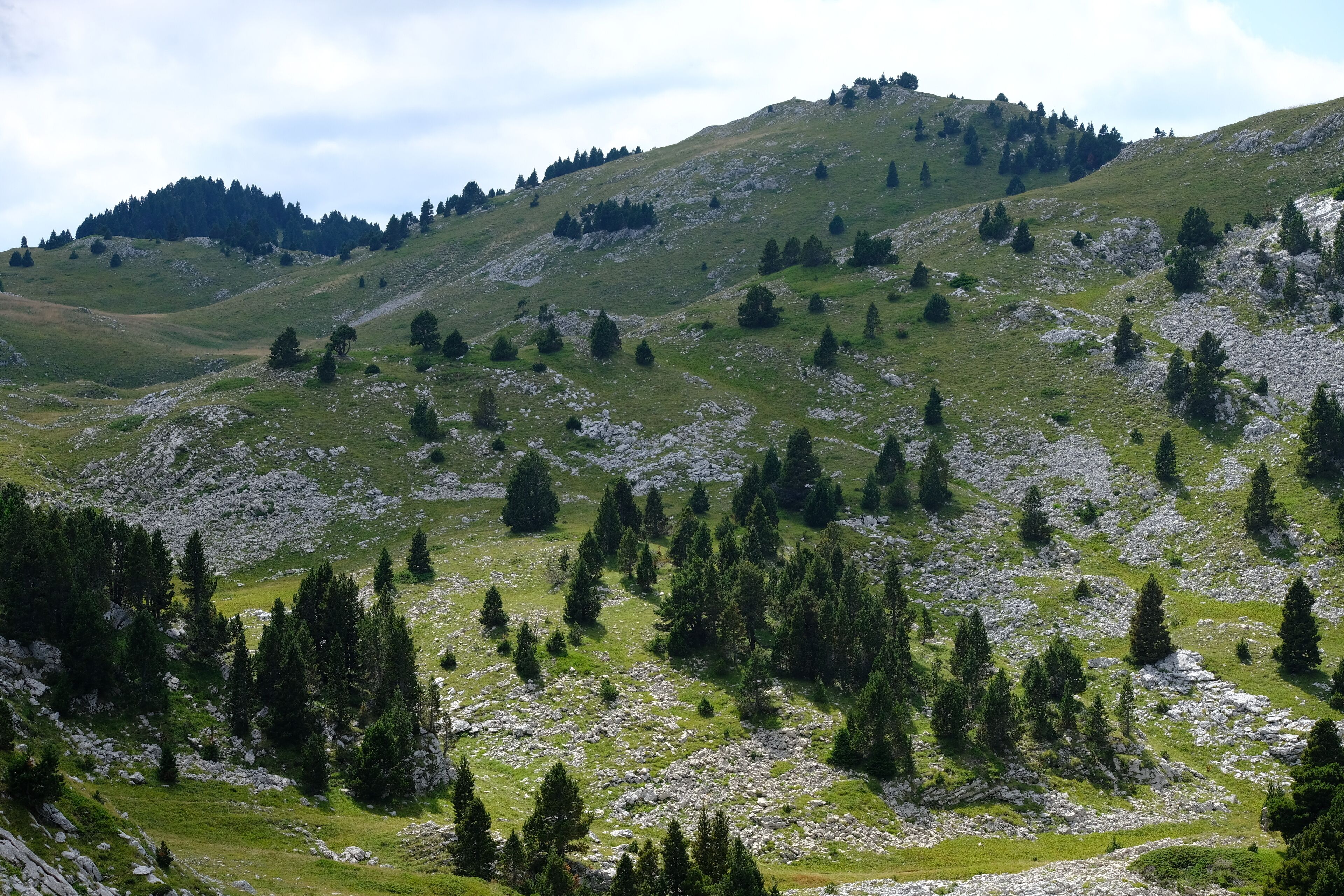 Gite Des Rosiers