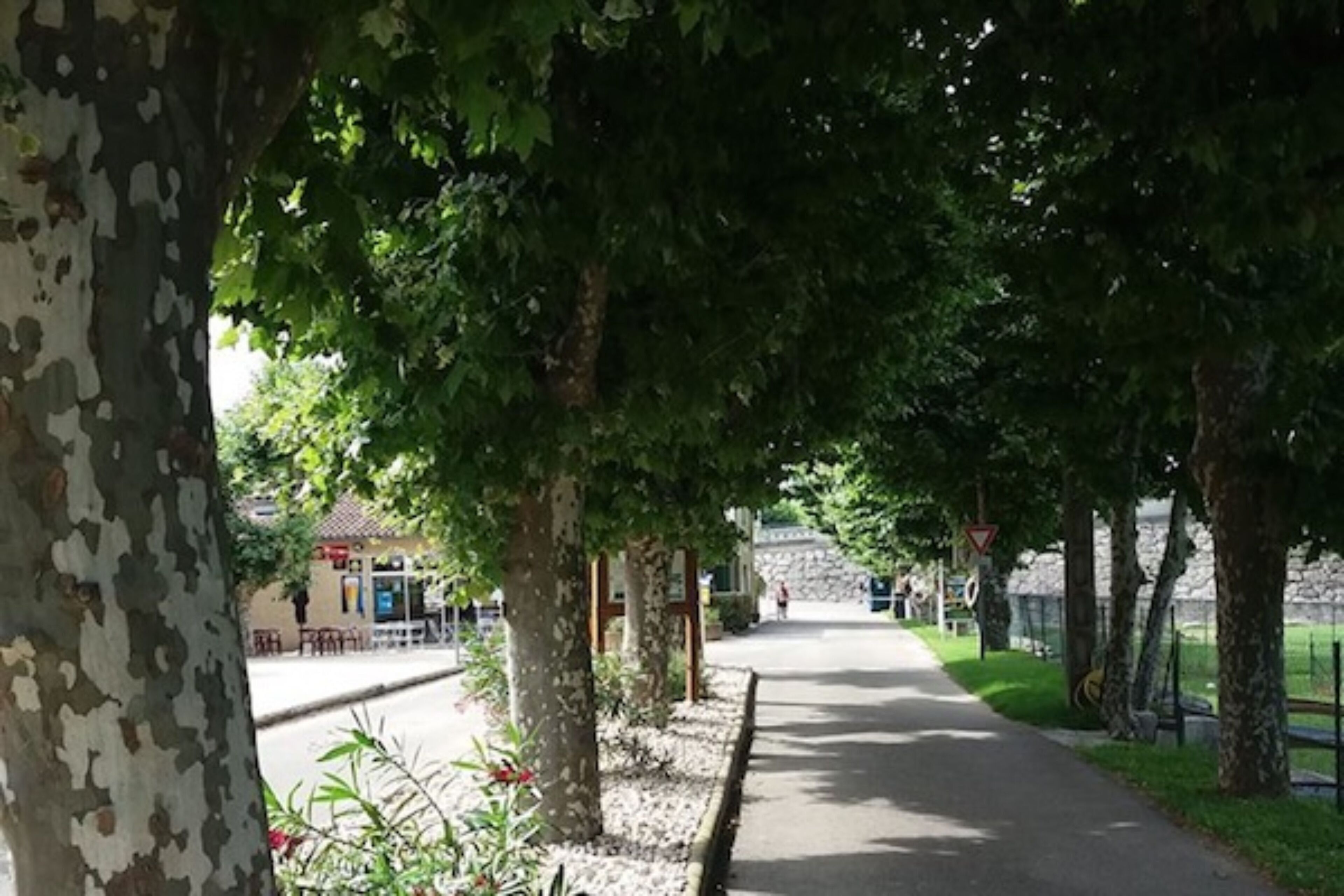 Campsite de l'Ardèche