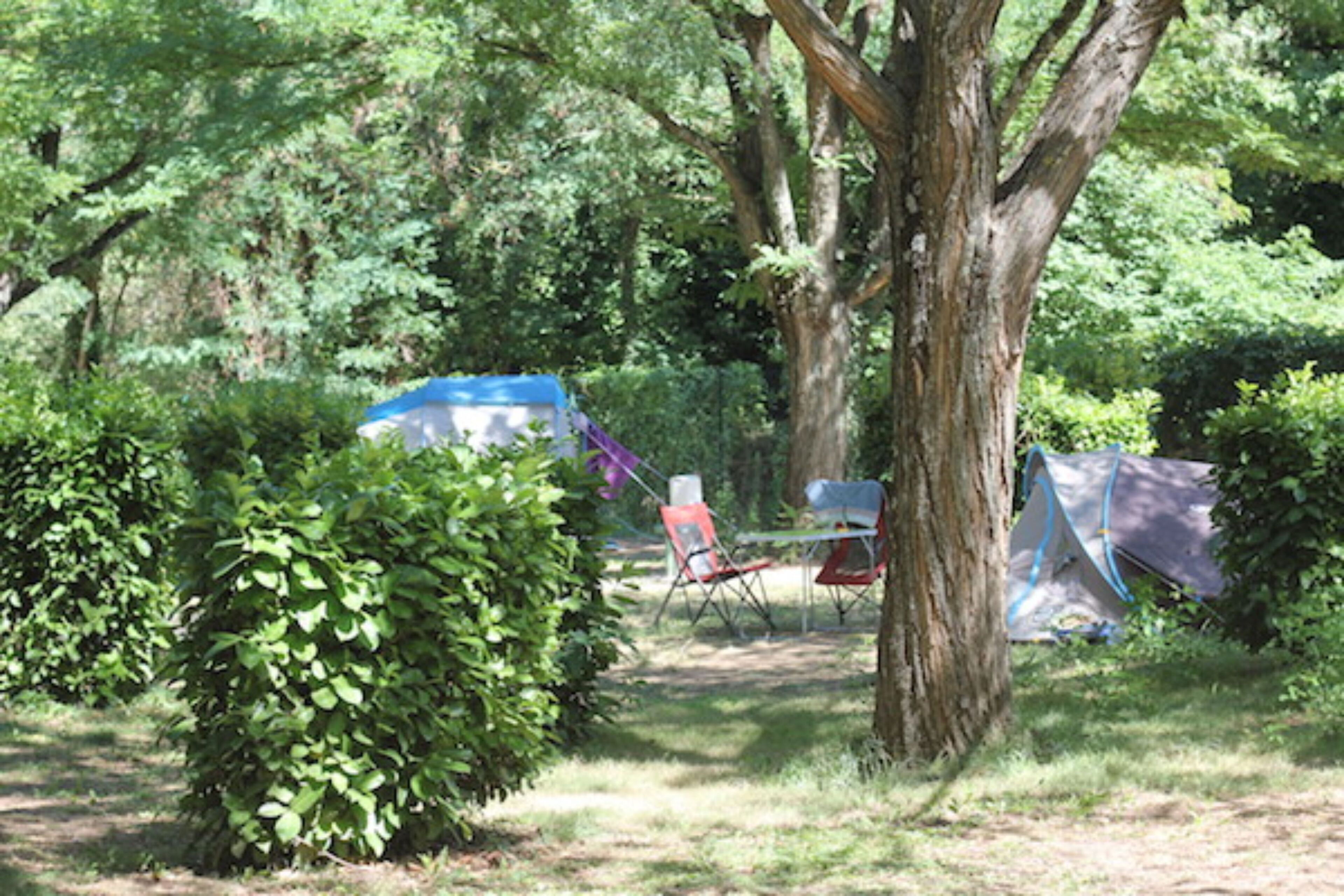 Campsite de l'Ardèche