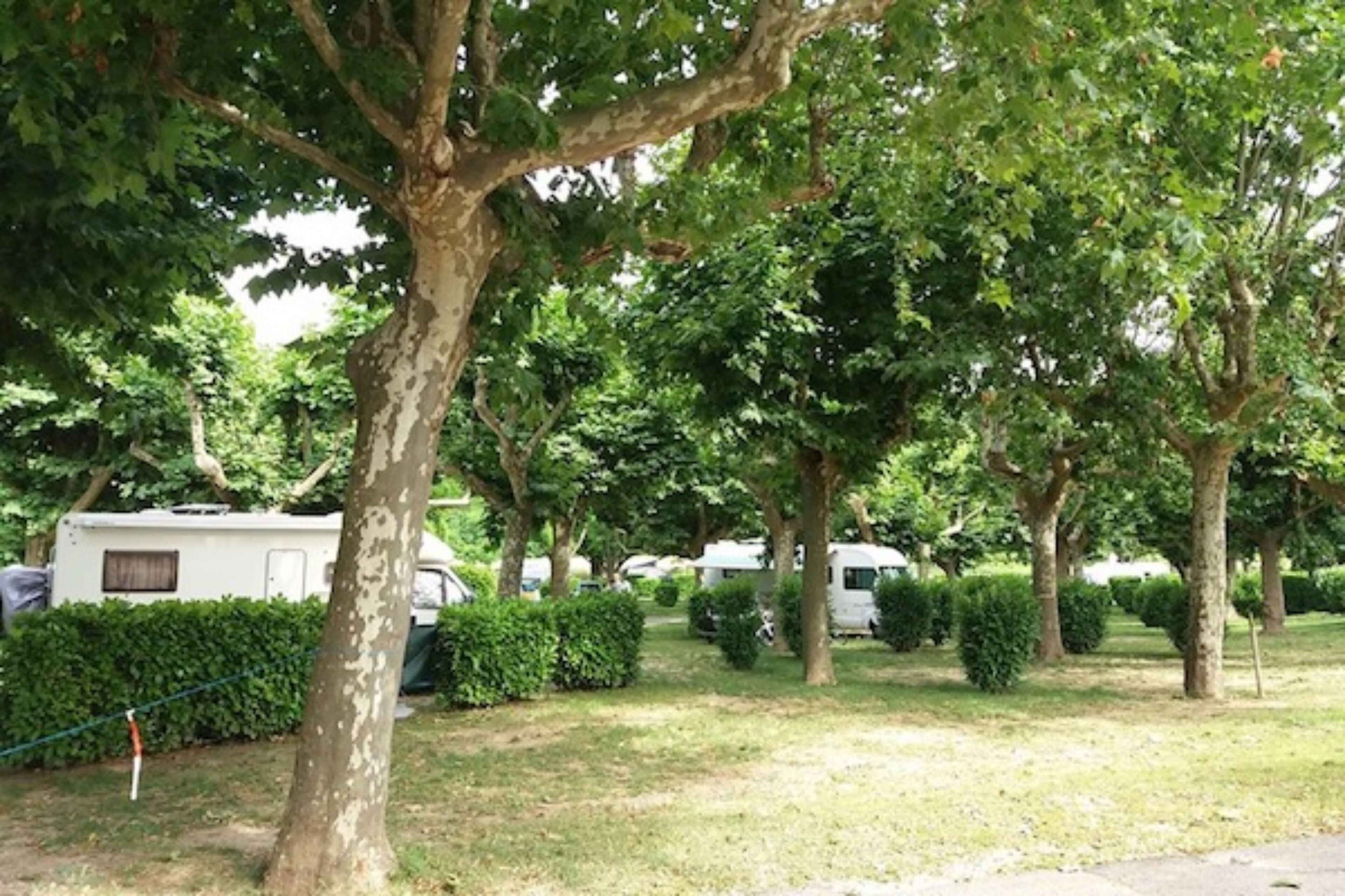 Campsite de l'Ardèche
