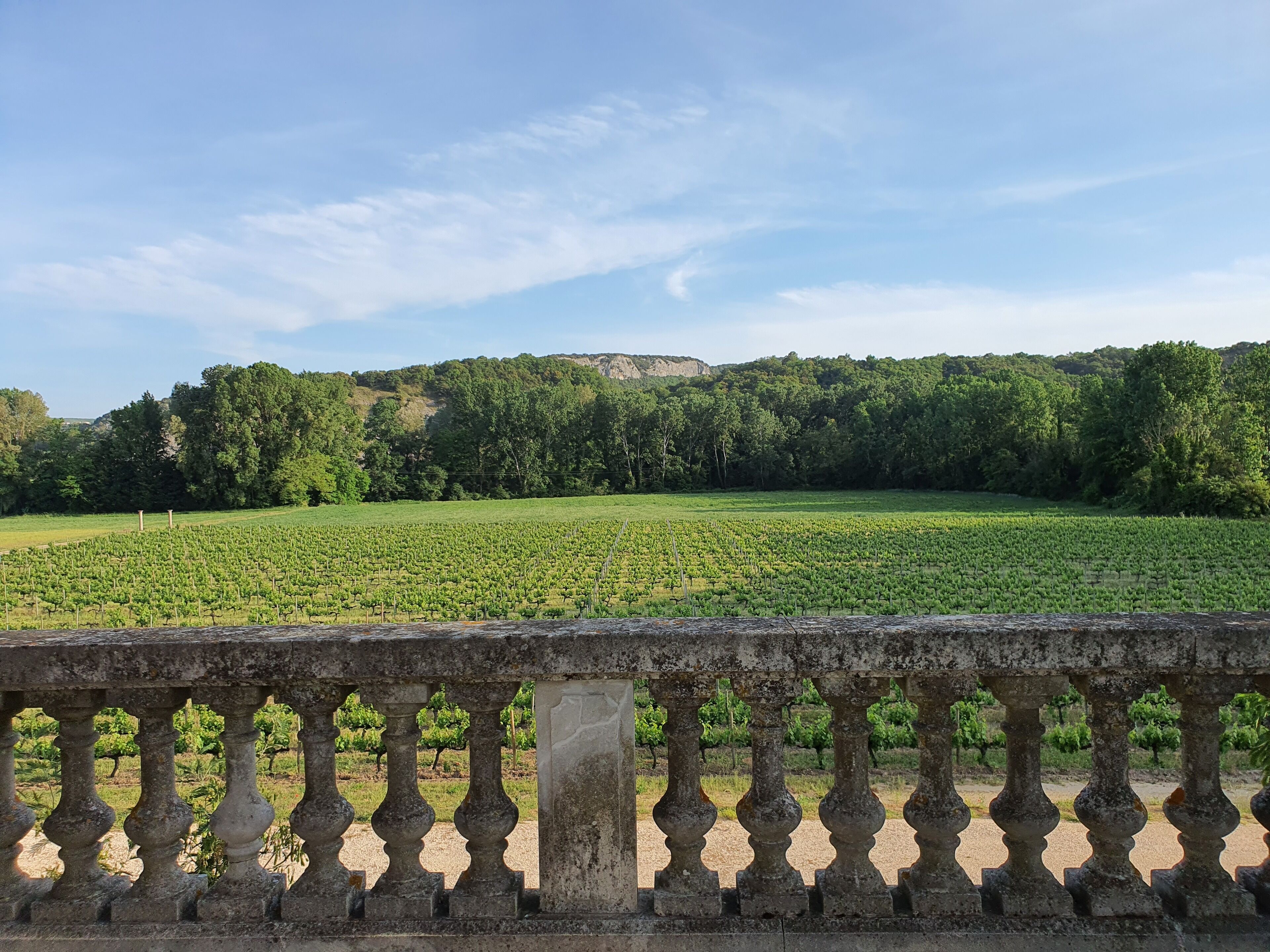 Hotel Villa Walbaum