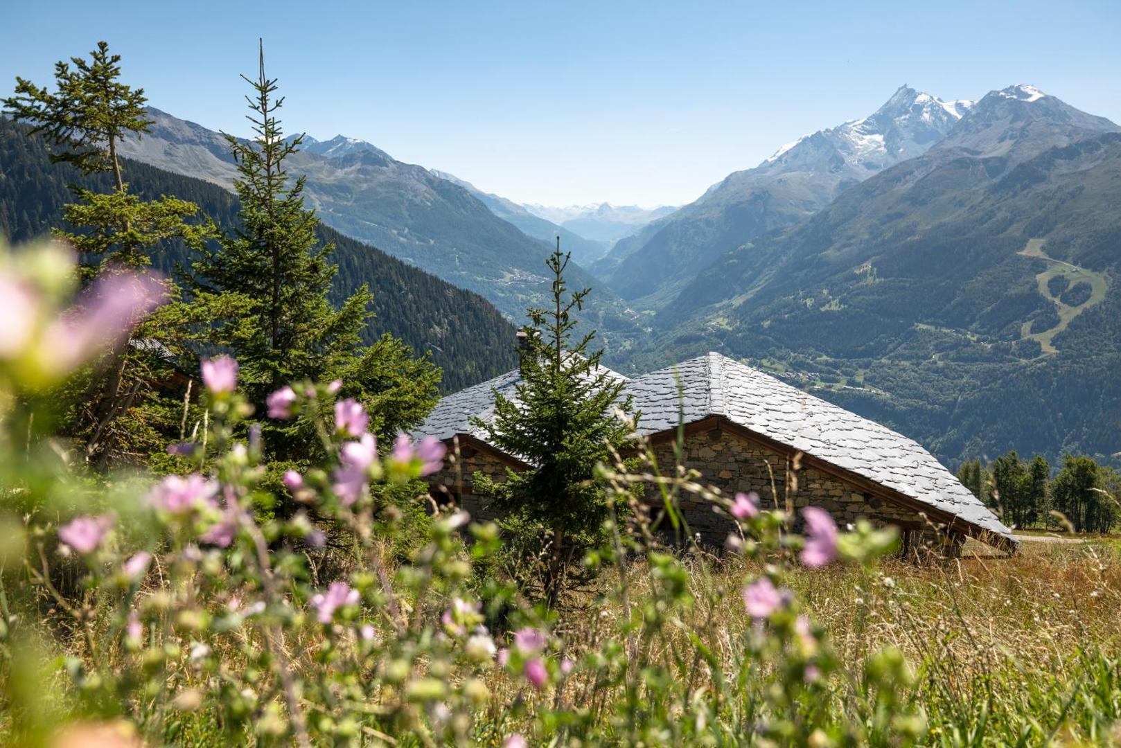 MGM Hôtels & Résidences  - Alpen Lodge Hôtel & Résidence