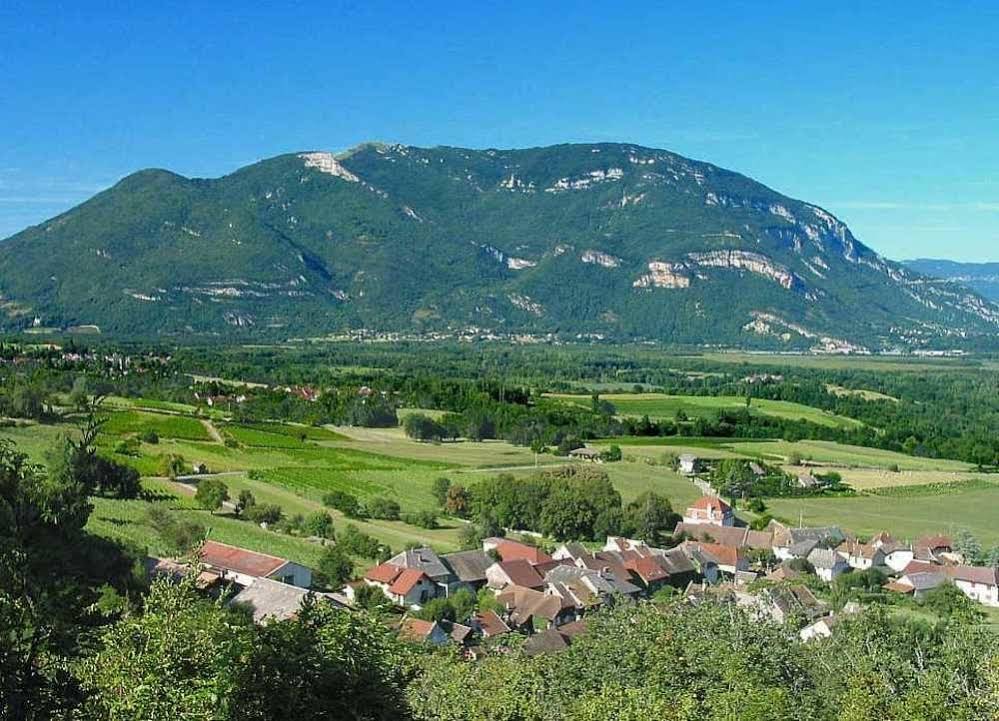 Sweet Home