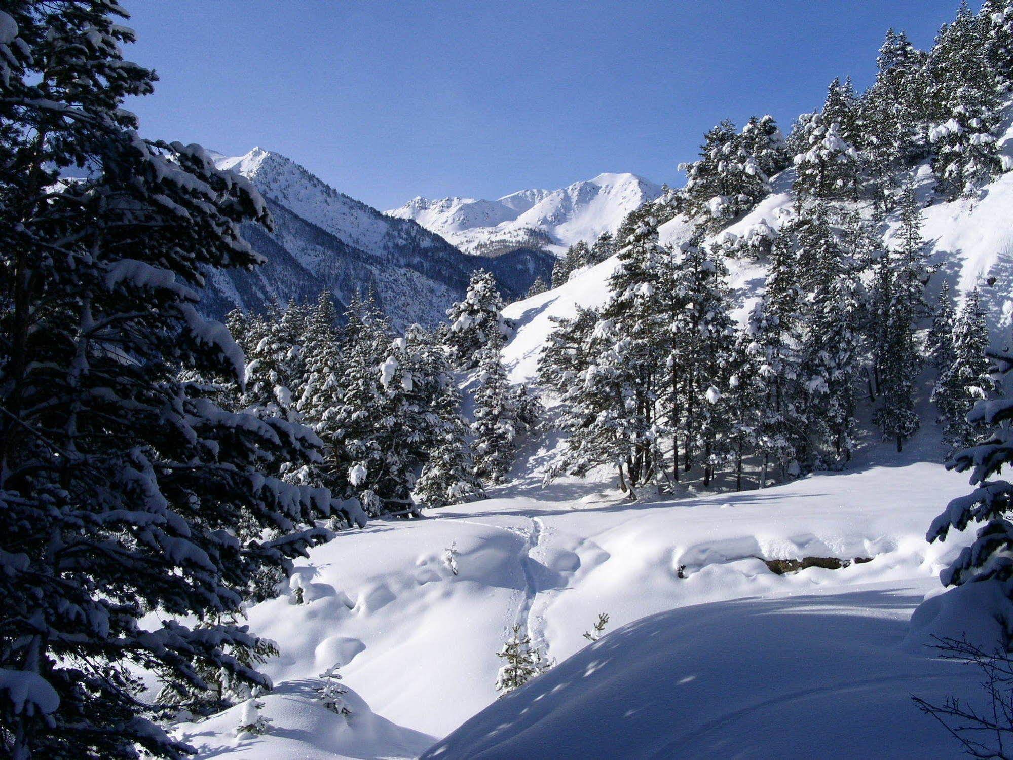 Le Chalet d'en Hô