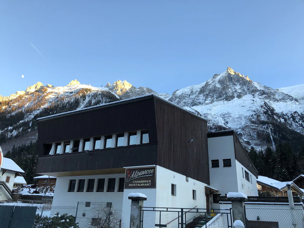 Alpenrose
