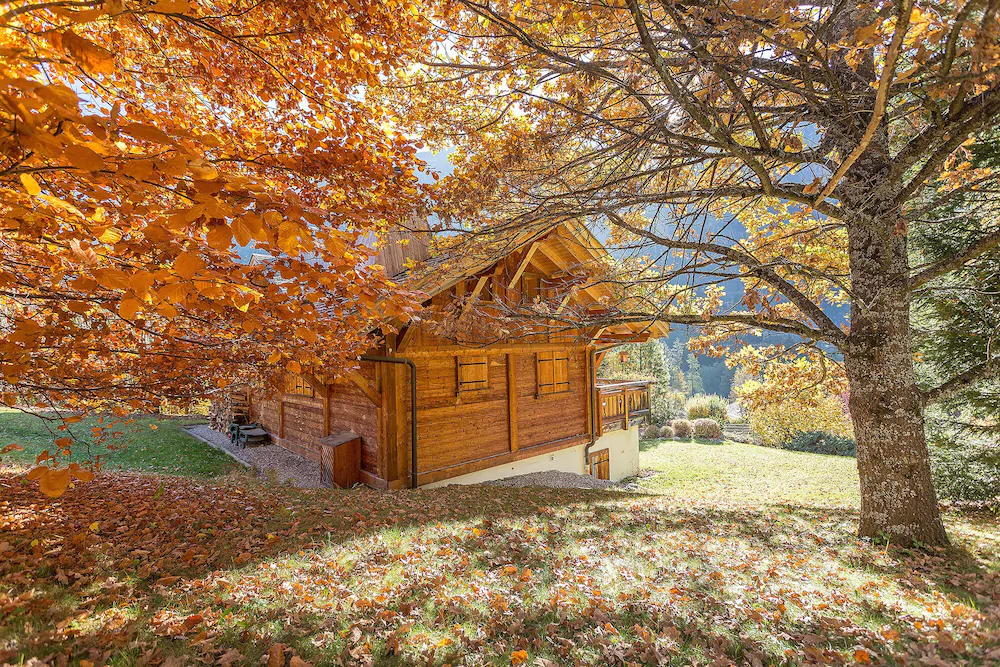 Chalet Edelweiss