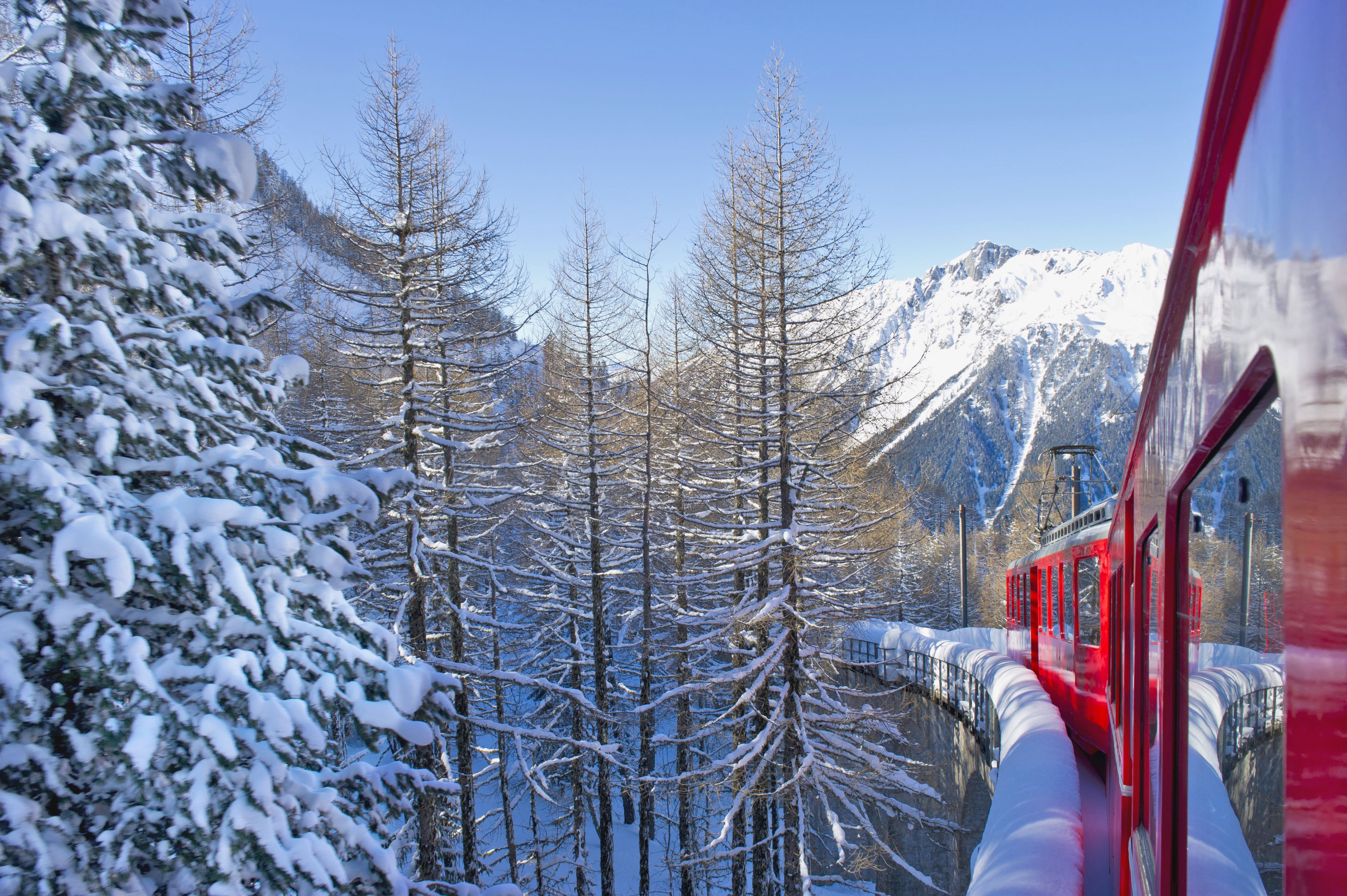 Village Vacances La Foret des Tines