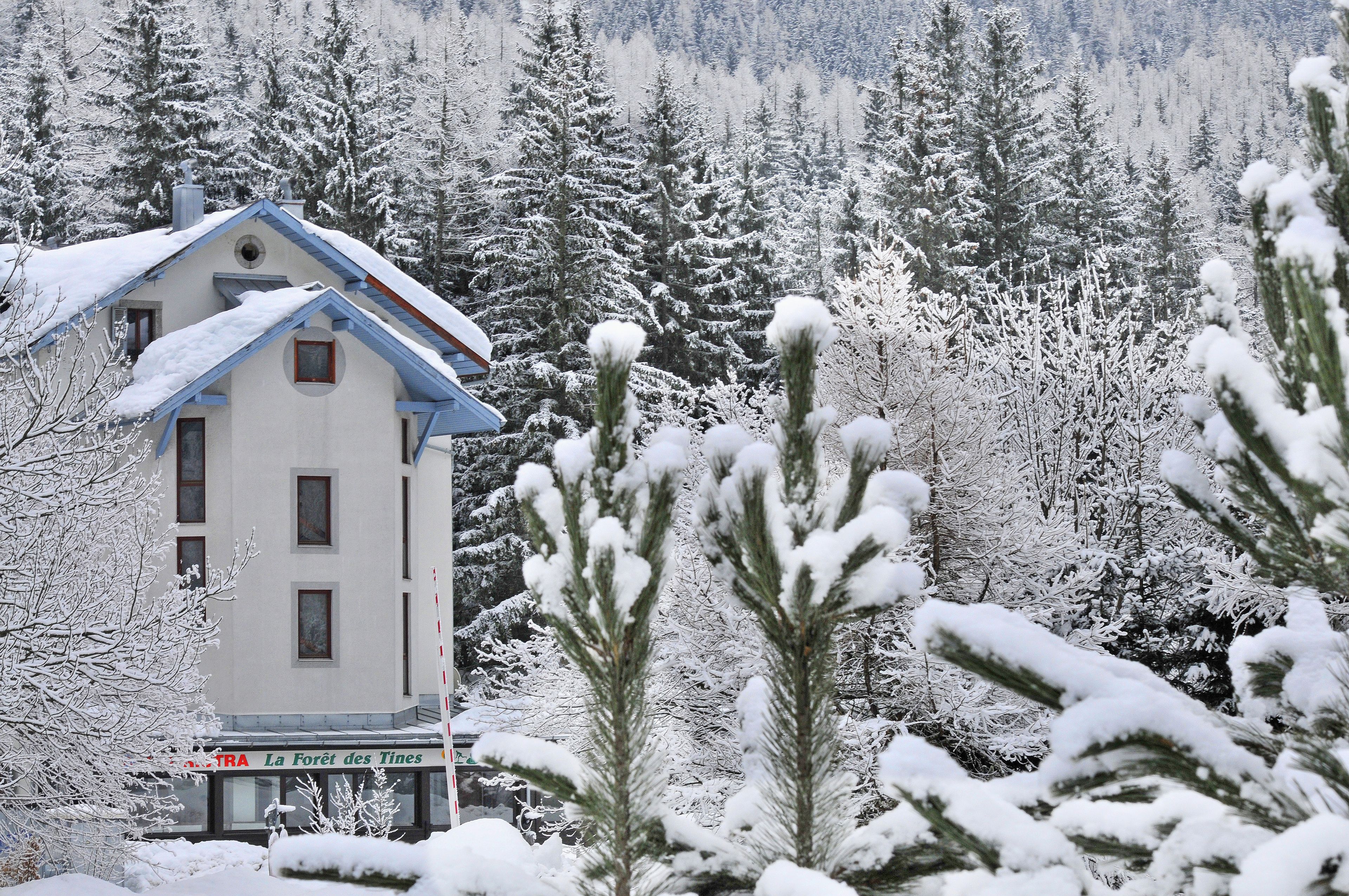 Village Vacances La Foret des Tines