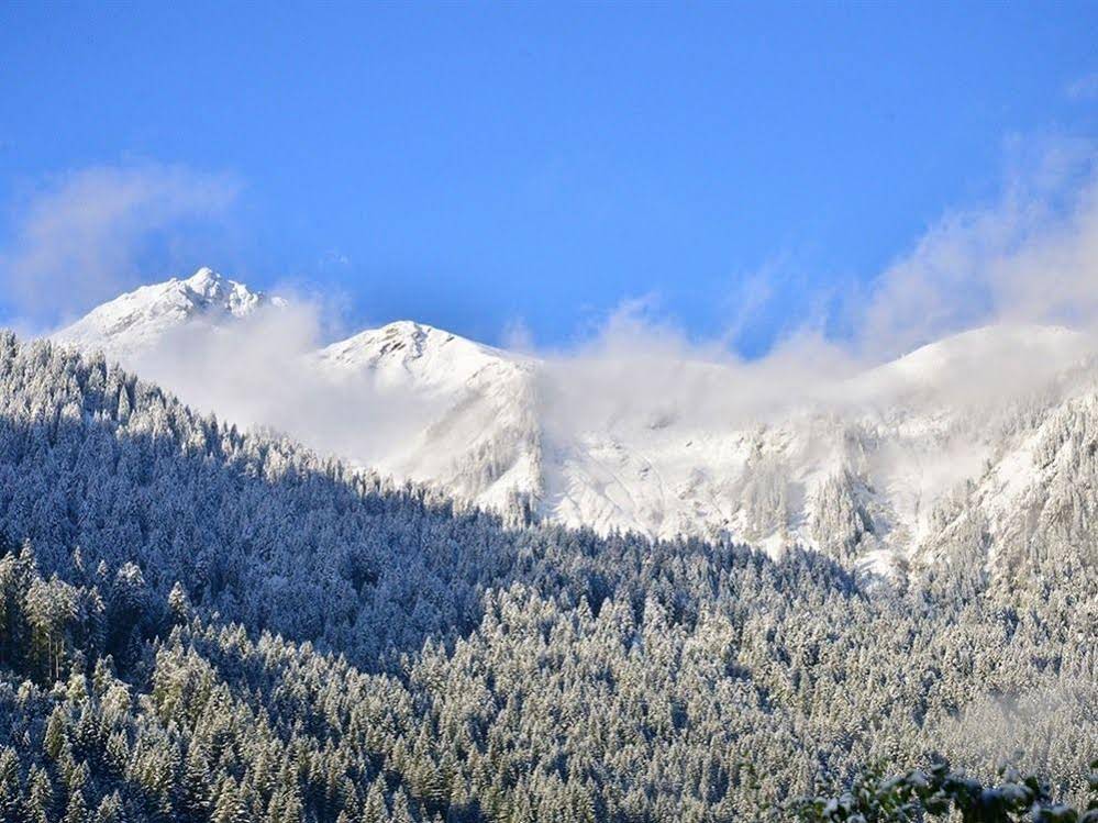 Chalet Cannelle