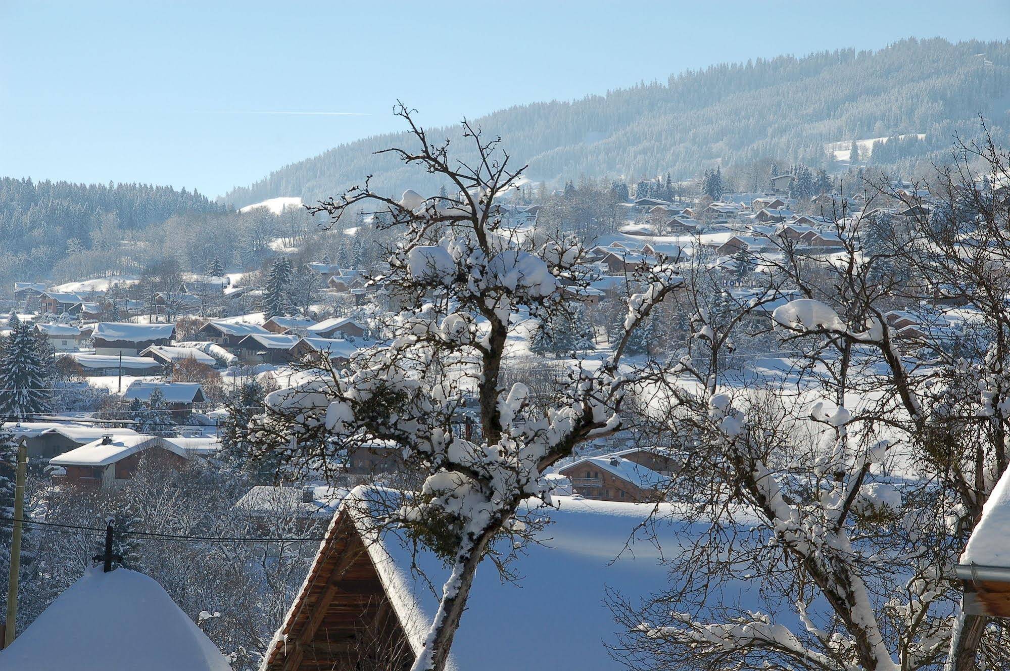 Hôtel /Restaurant Caprice des Neiges
