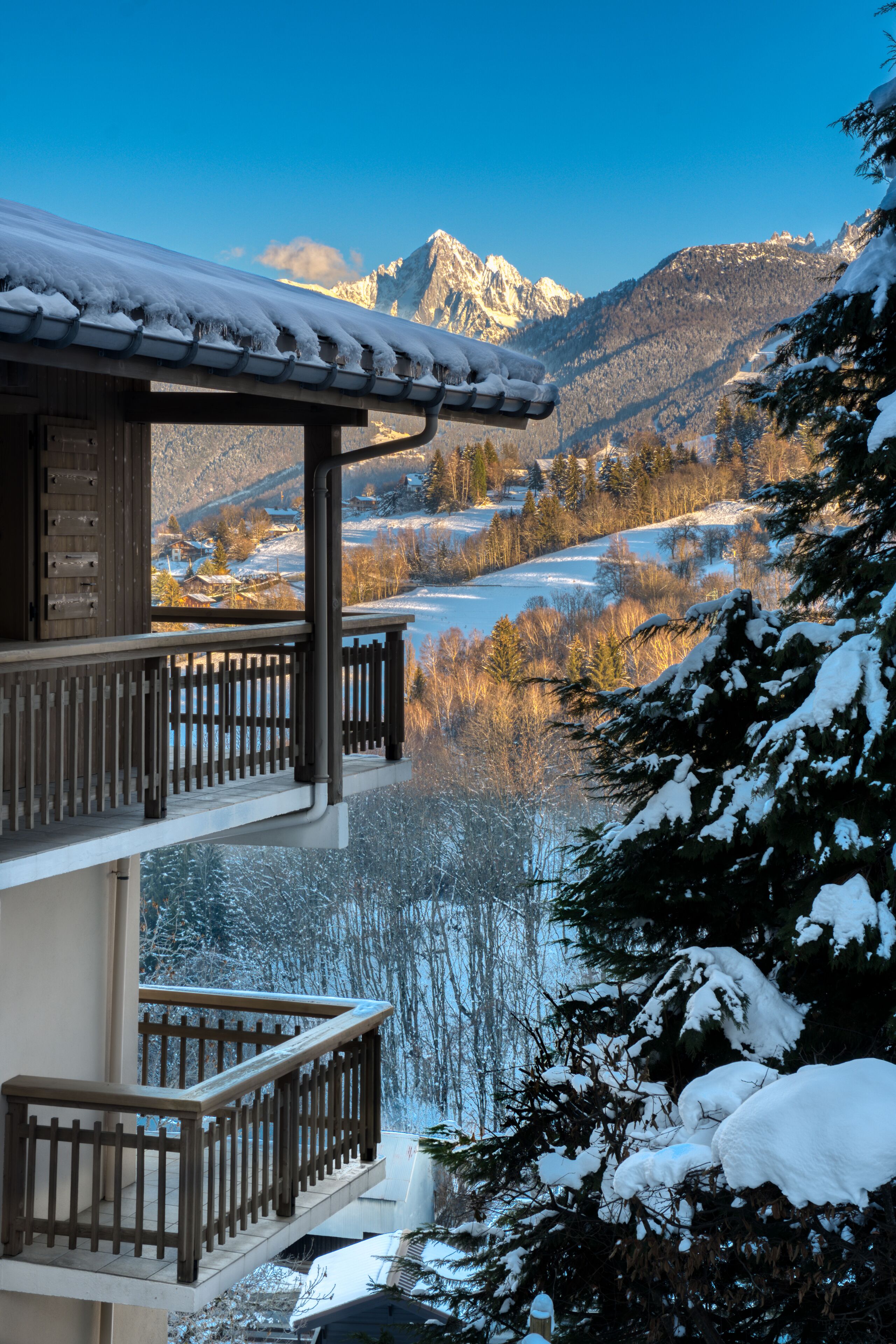 Chalet Nessa