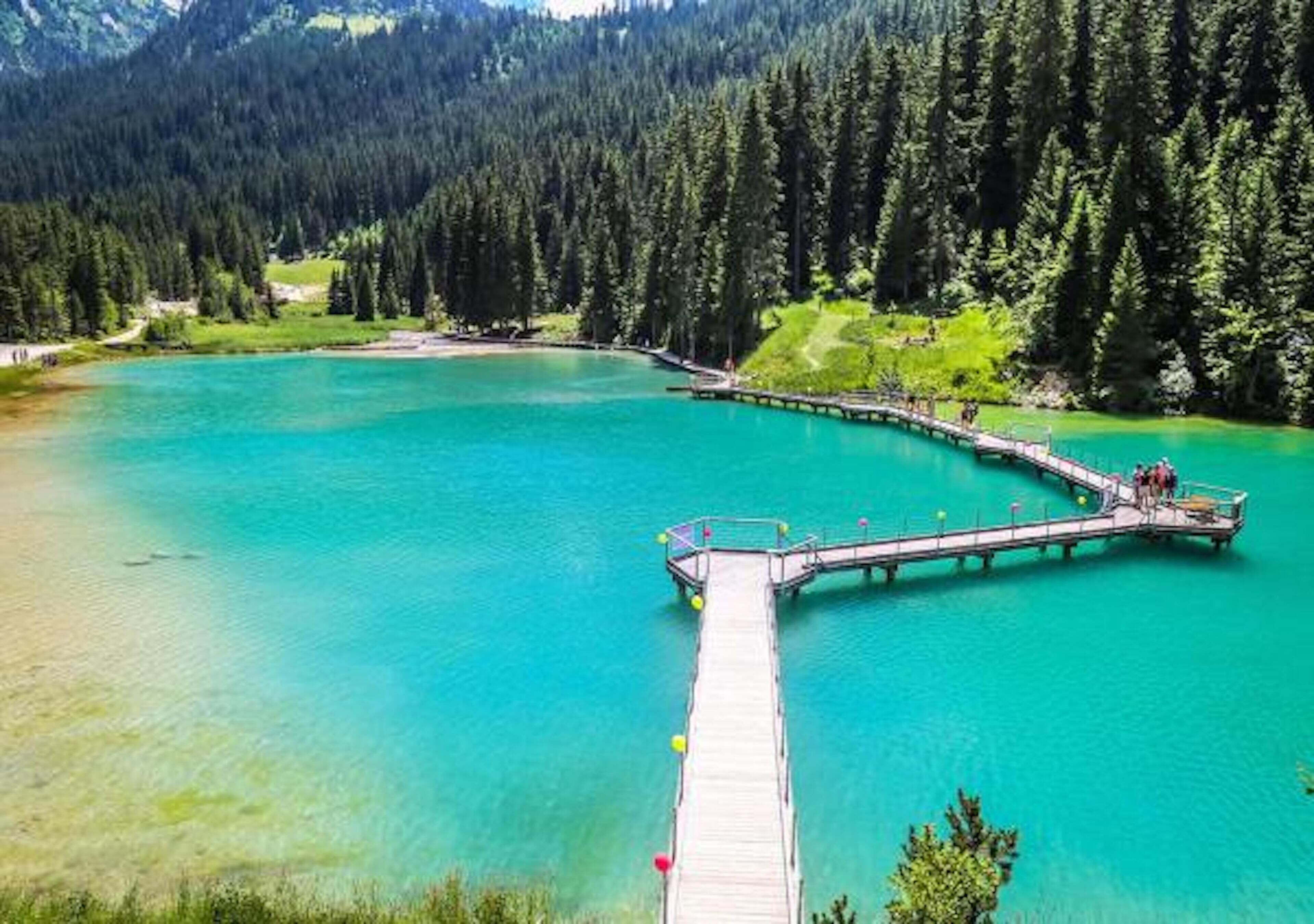 Résidence La Forêt du Praz