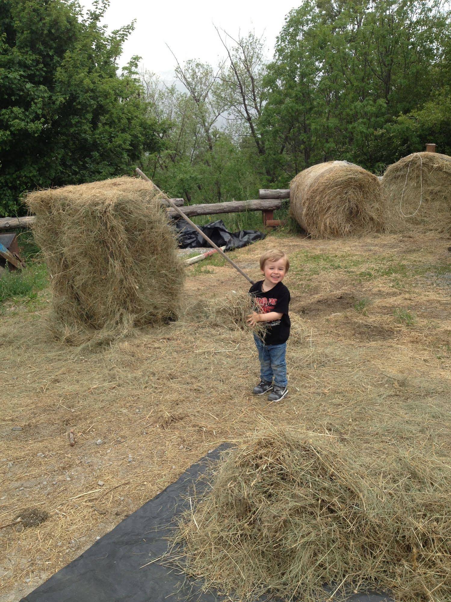 Gîte Les Dormillouses