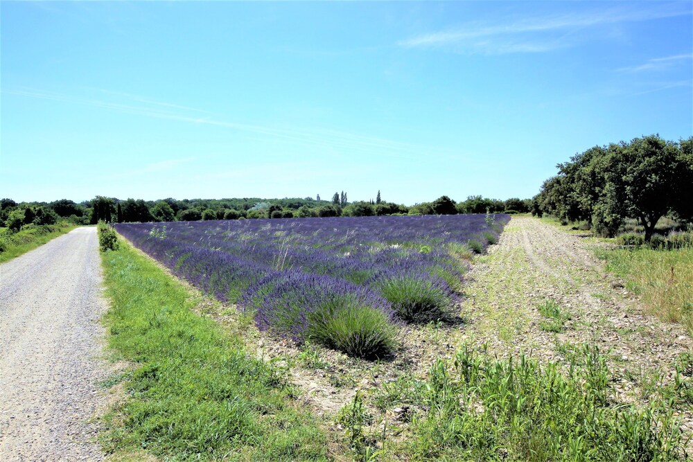 Font Peyrins