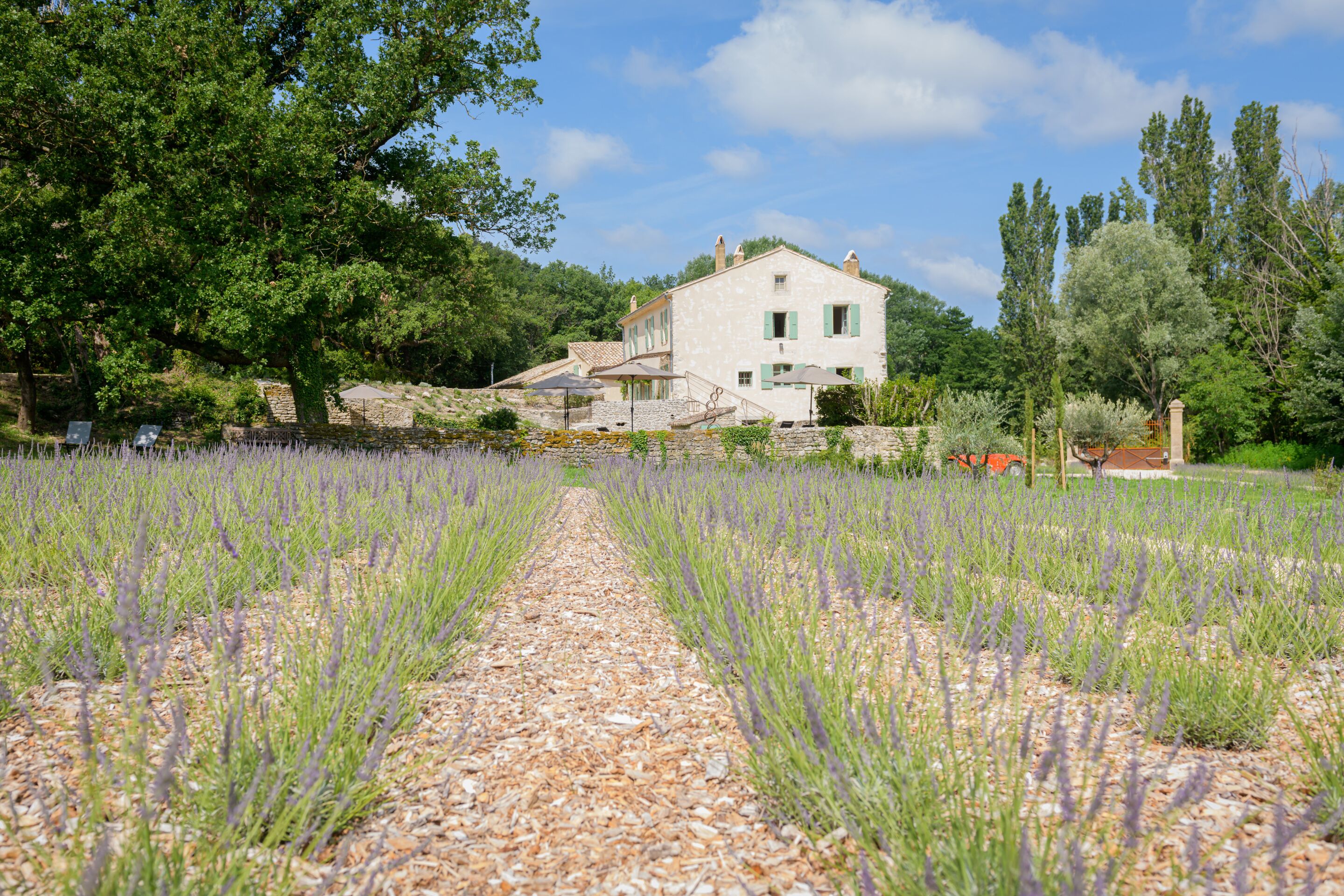 Le Moulin Dumas