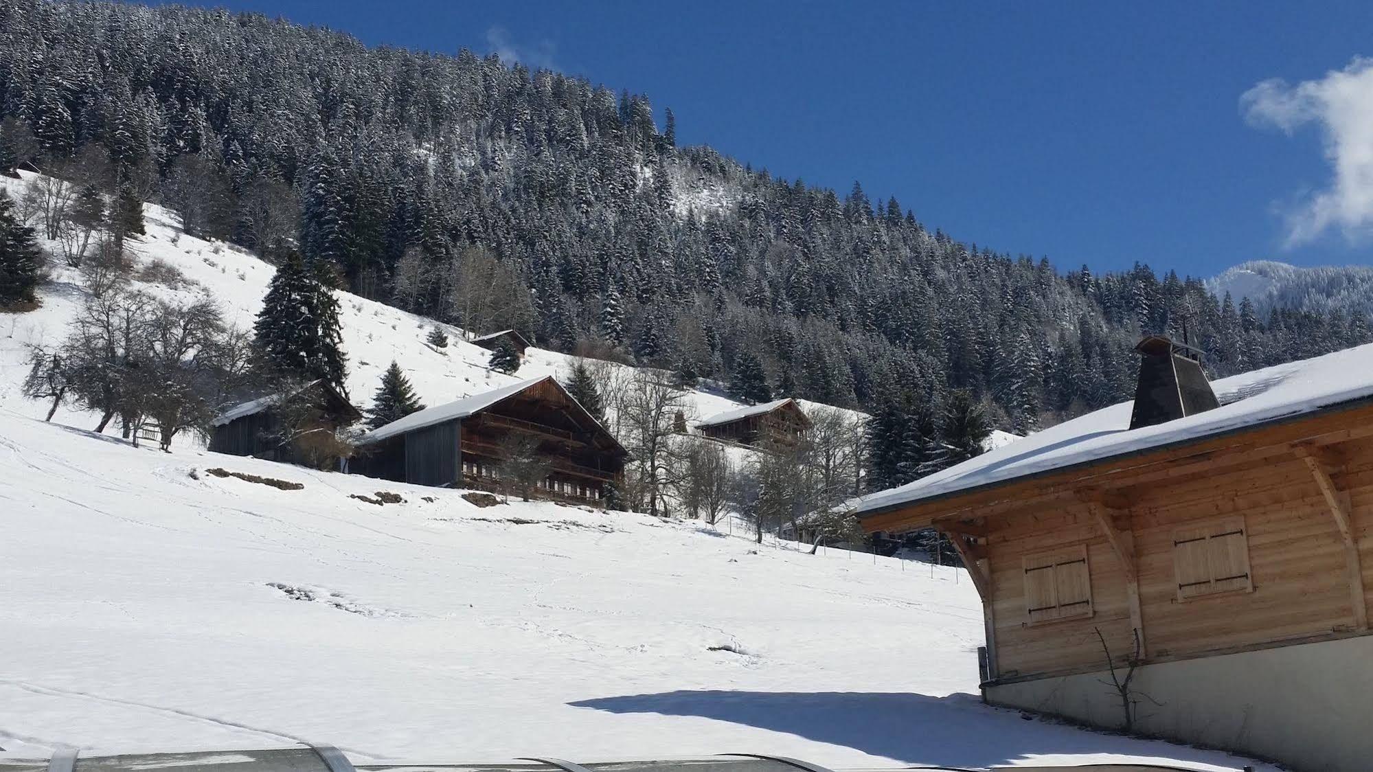 Hotel Le Chabi