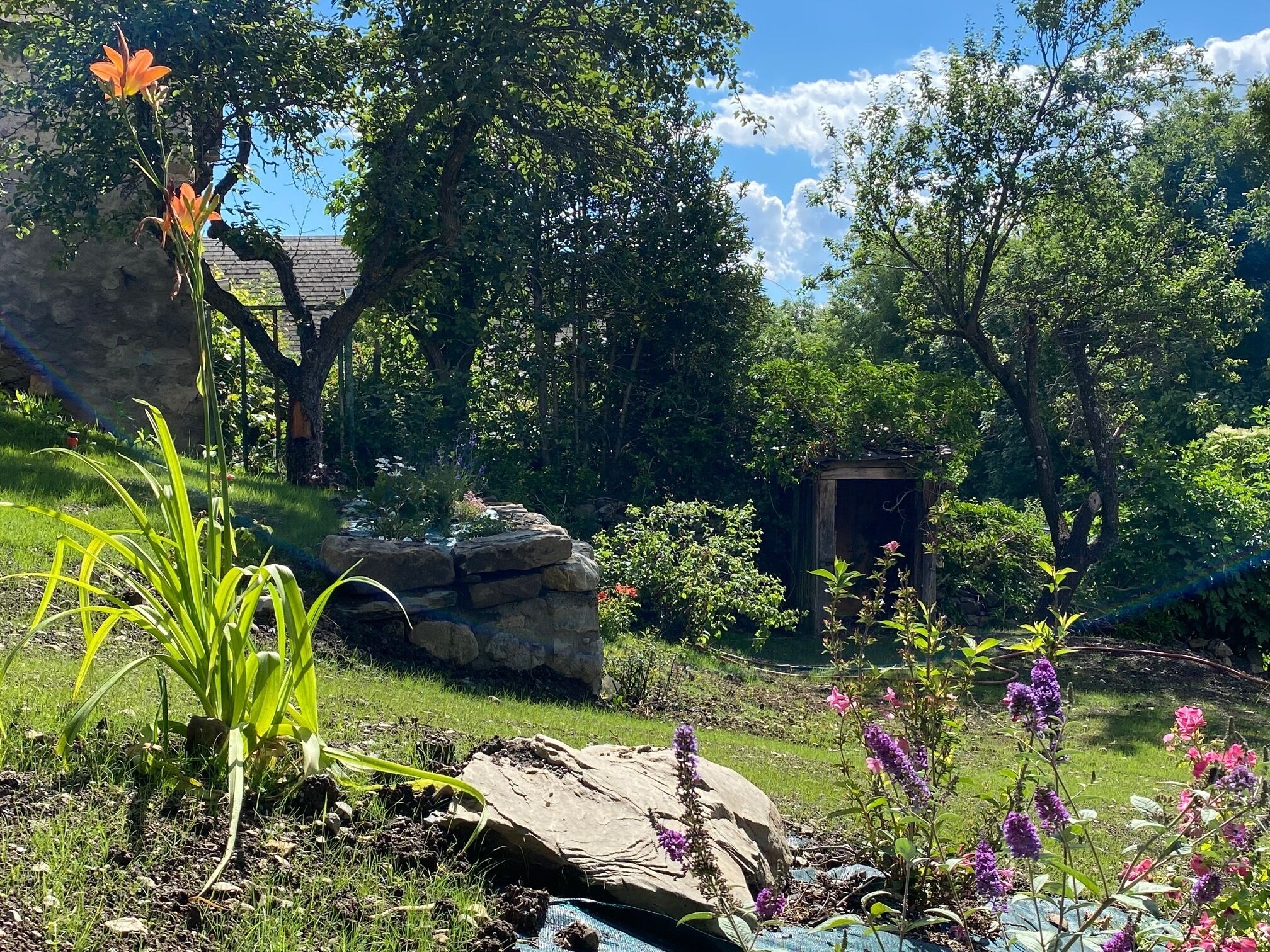 La Petite Maison Basse Corréo