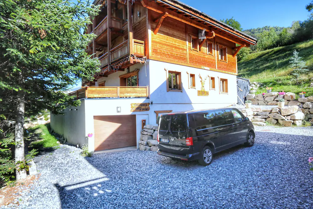 L'Aster des Alpes