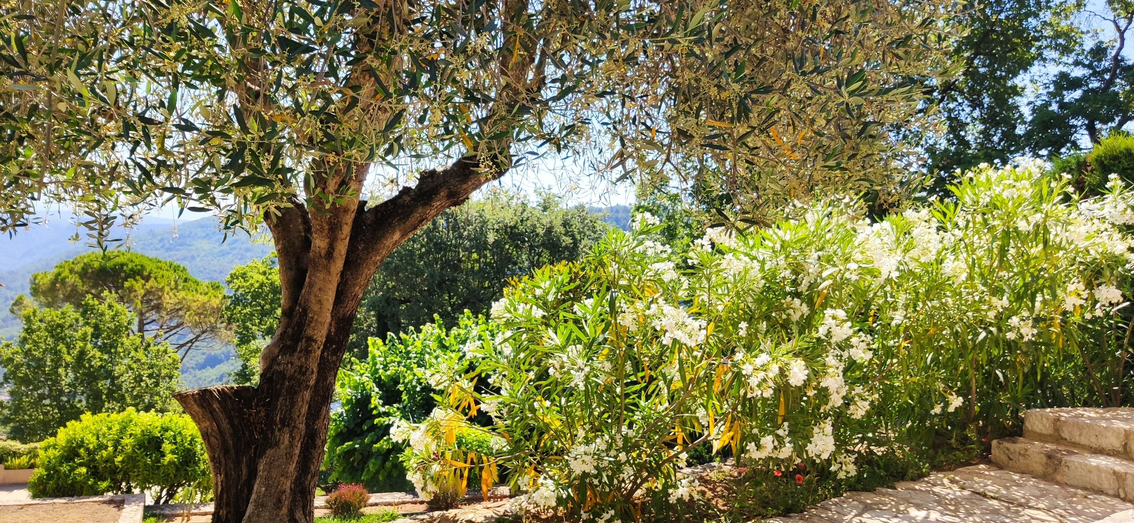 Loup Castel Boutique Hotel B&B