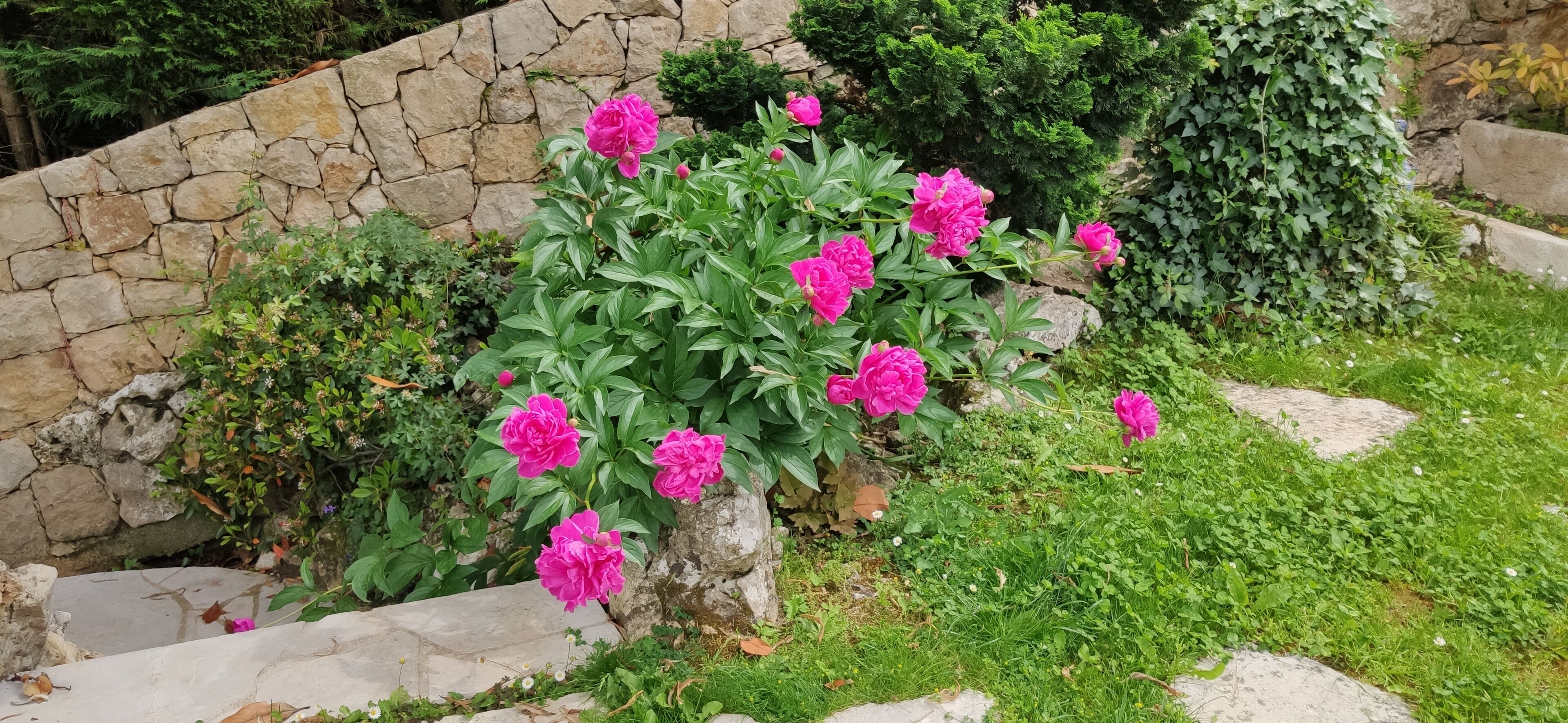 Loup Castel Boutique Hotel B&B