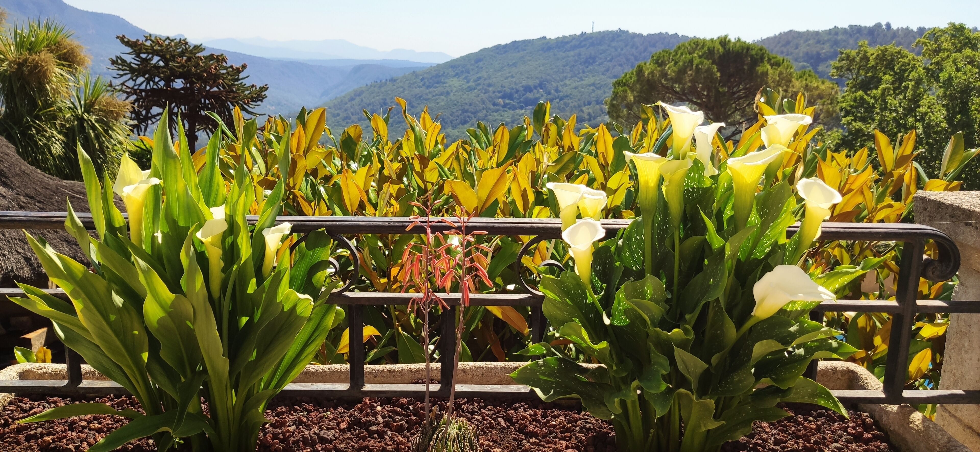 Loup Castel Boutique Hotel B&B