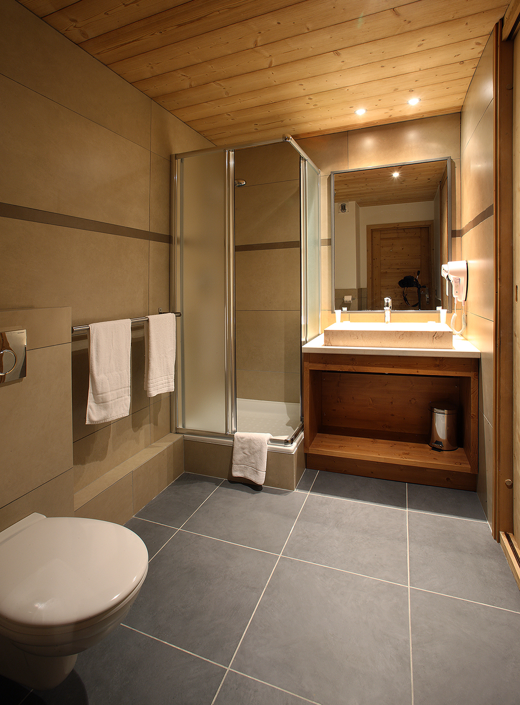 Chalet des Neiges - Arolles Residence
