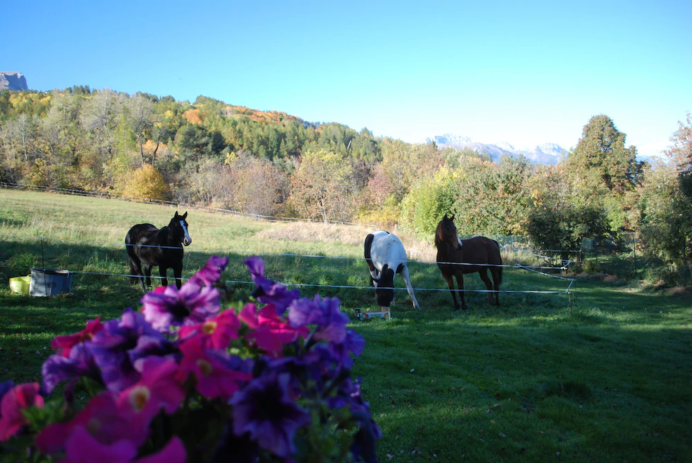 Le Clos Du Berger