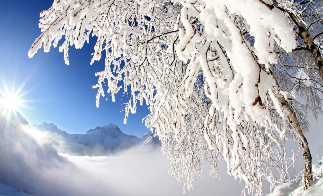 Les Flocons