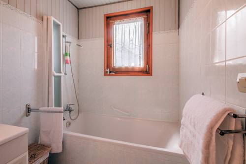 Chalet Le Petit Dru