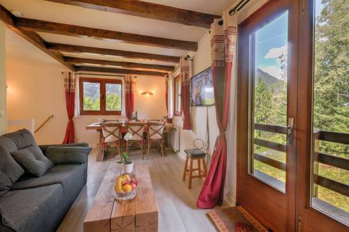 Chalet Le Petit Dru