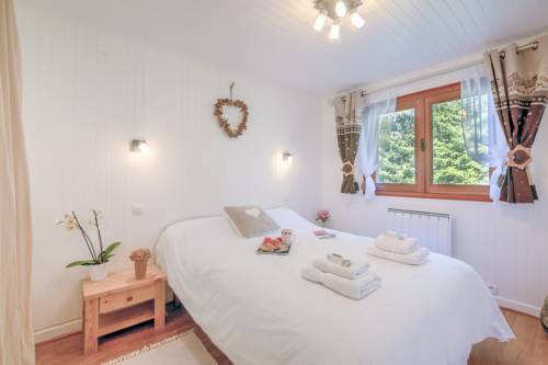 Chalet Le Petit Dru
