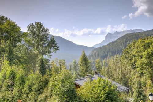Chalet Le Petit Dru