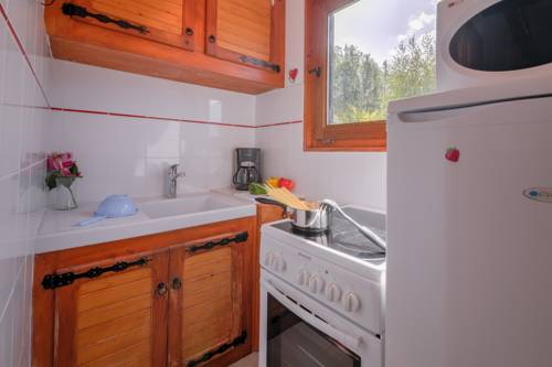 Chalet Le Petit Dru