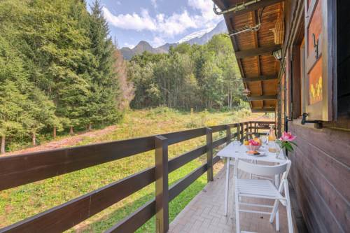 Chalet Le Petit Dru