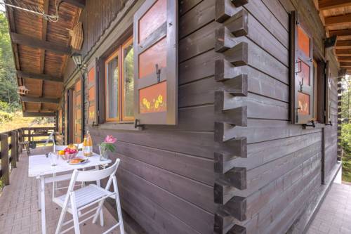 Chalet Le Petit Dru
